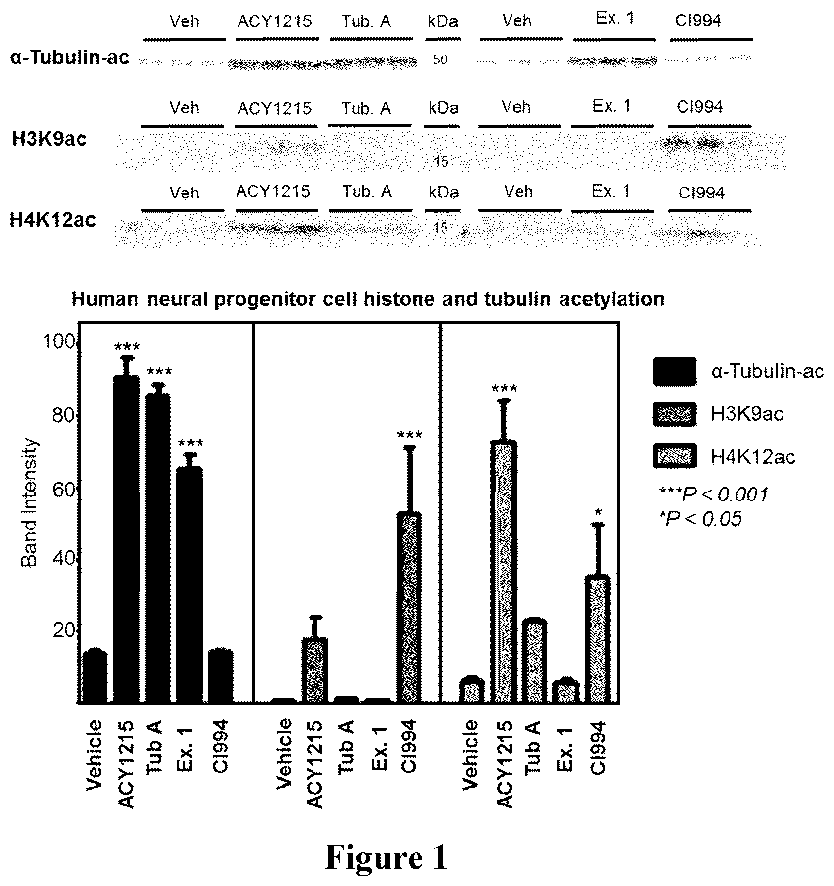 Patent US12472271 — HDAC6 inhibitors and imaging agents — Figure 1