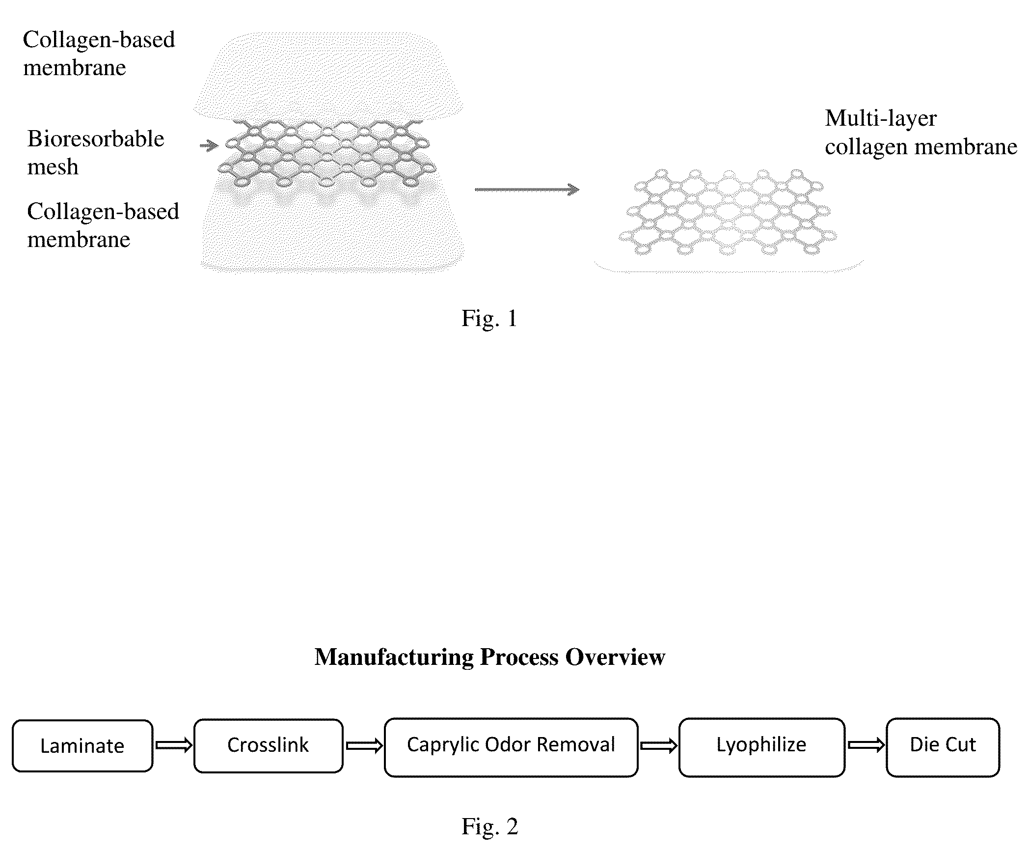 Patent US12472281 — Multi-layer collagen-based membrane — Figure 1