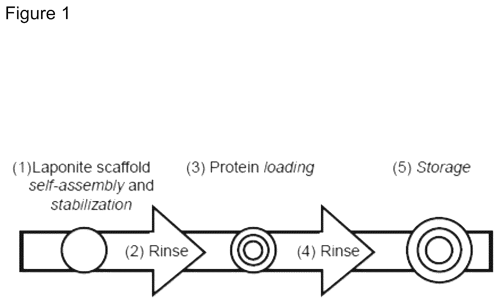 Patent US12472284 — Structured gels — Figure 1