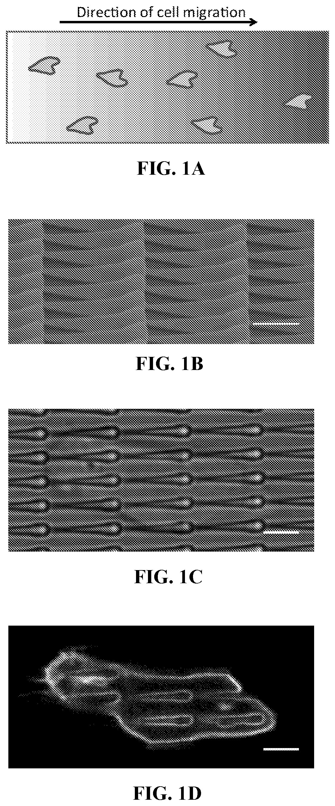 Patent US12472286 — Compositions comprising textured patterns and methods of using the same — Figure 1