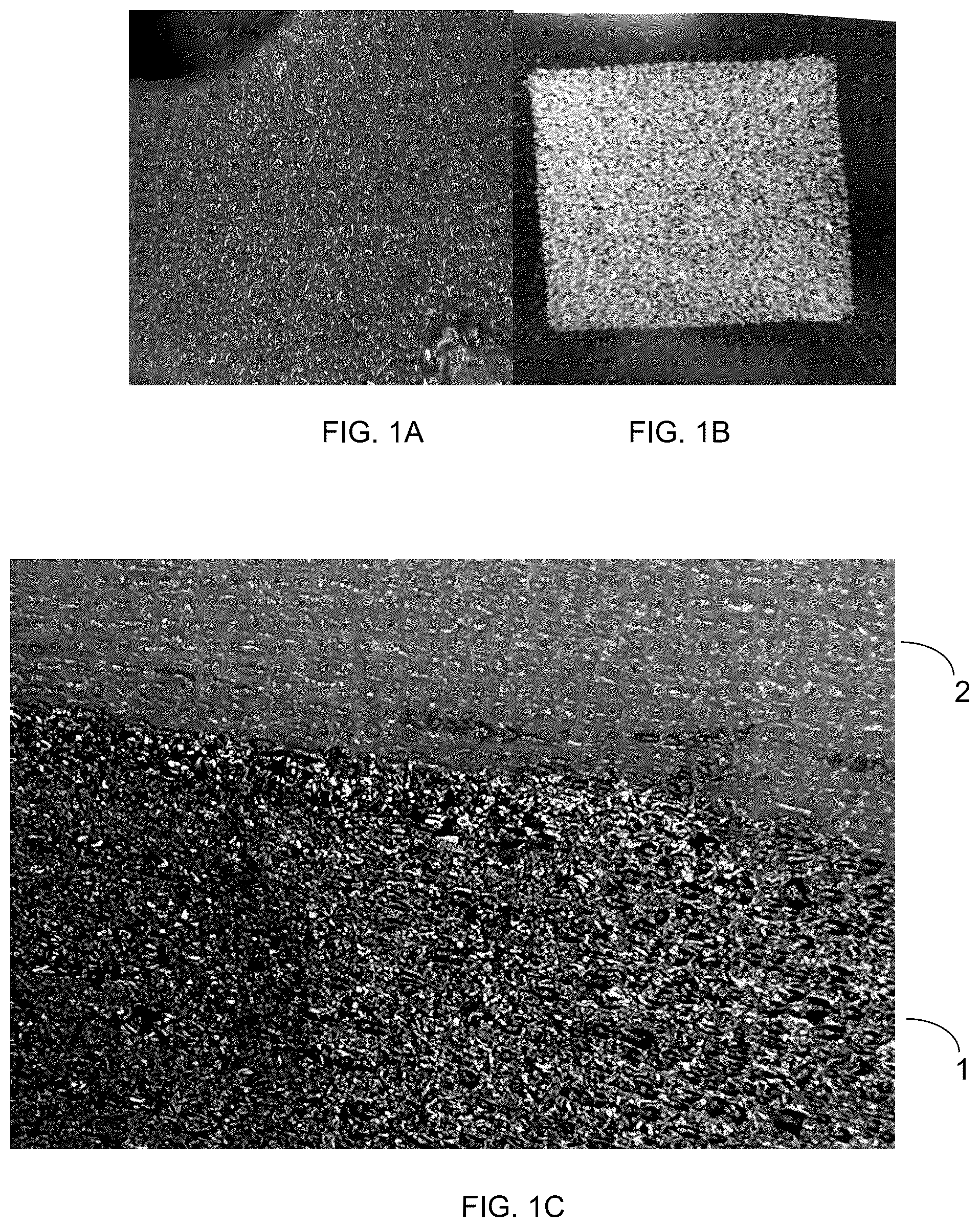 Patent US12472287 — Poroelastic biomaterial for orthopedic devices — Figure 1
