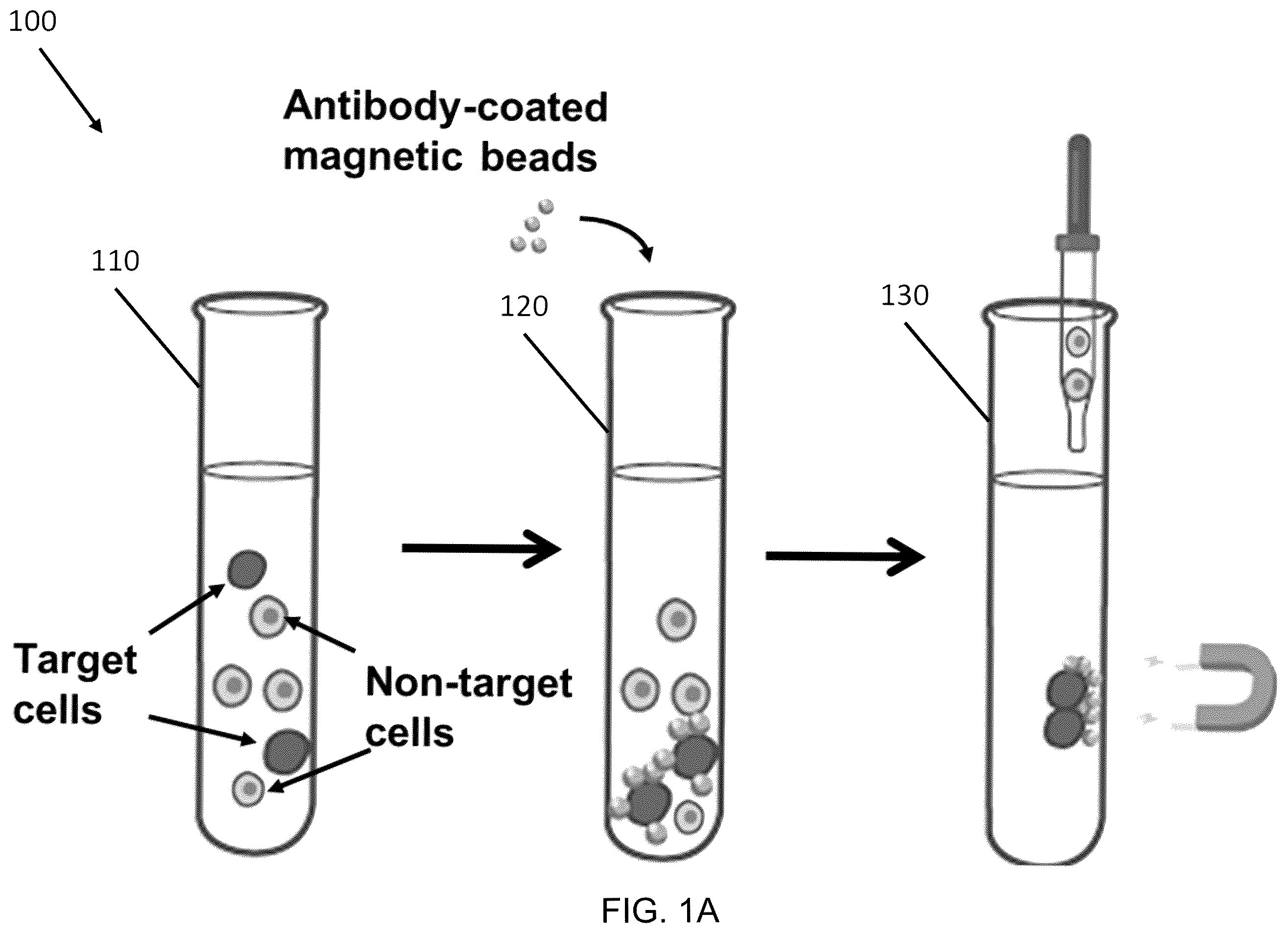 Patent US12472501 — Magnetic system for detection and sorting of cells — Figure 1