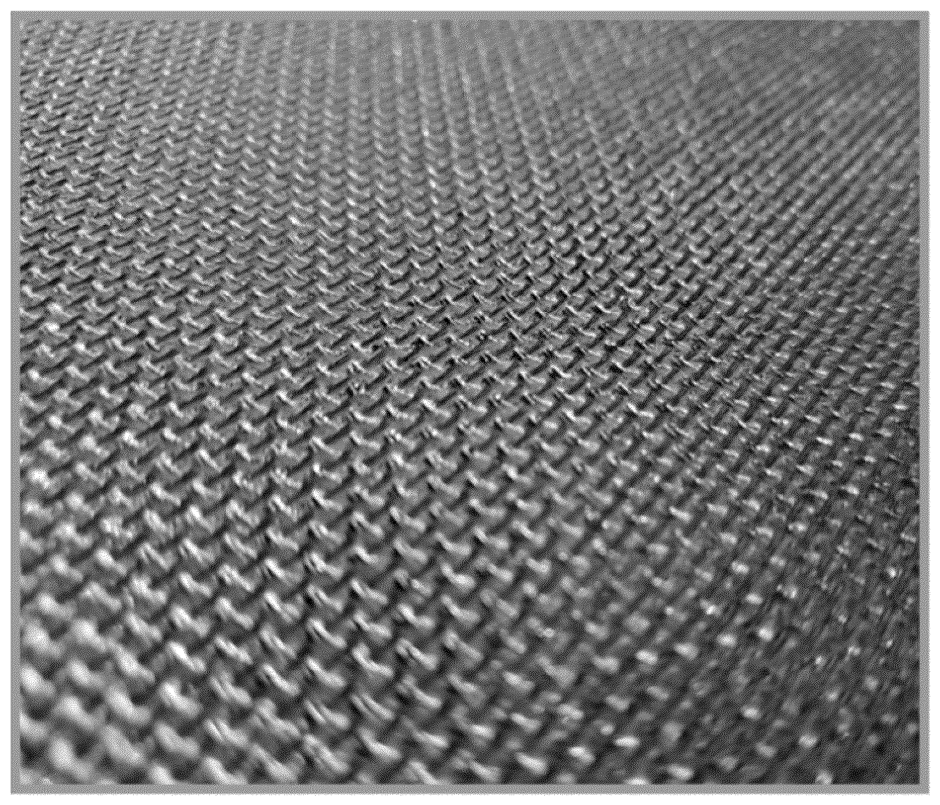 Patent US12472702 — Fiber reinforced plastic components with increased slip-resistance and methods of manufacture — Figure 1