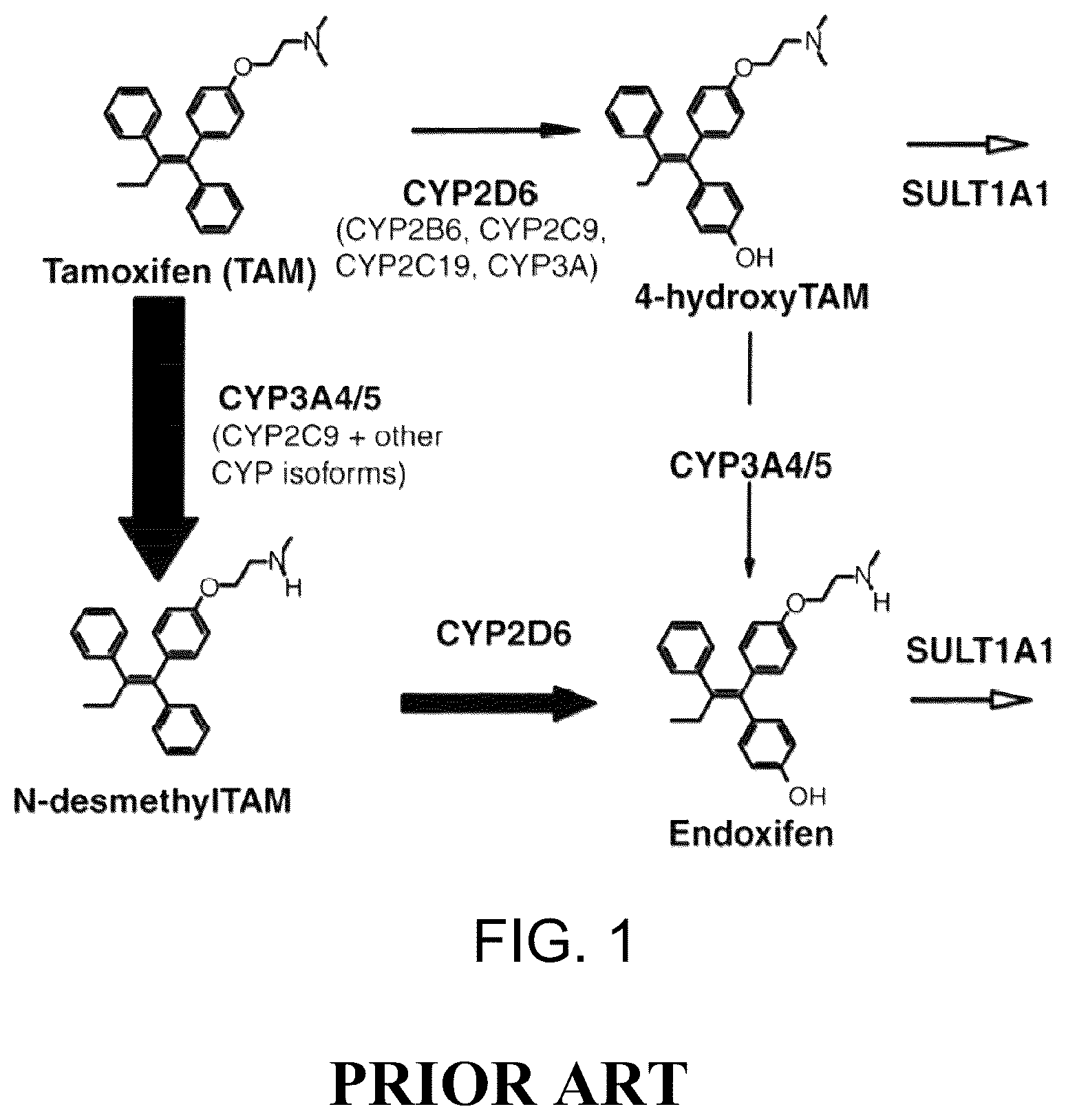 Patent US12479790 — Methods for making and using endoxifen — Figure 1
