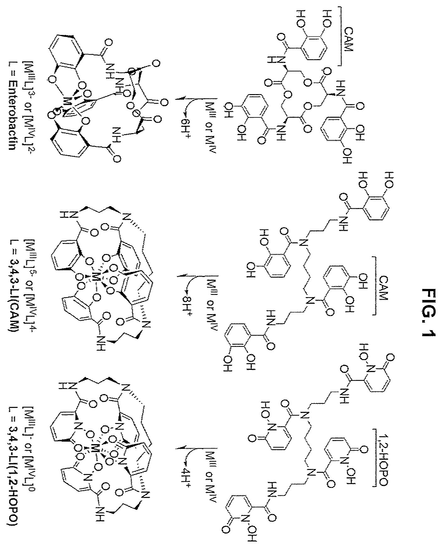 Patent US12479792 Figure 1 – Compositions of chelating molecules