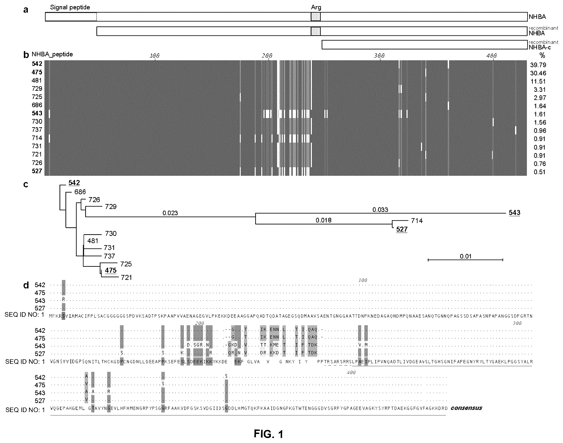 Patent US12479892 — Immunogenic protein against gonococcal infection — Figure 1