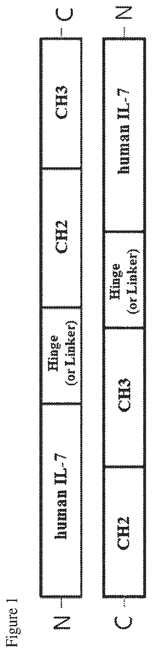 Patent US12479898 — Pharmaceutical composition comprising immunoglobulin fc-fused interleukin-7 fusion protein for preventing or treating human papillomavirus-caused diseases — Figure 1