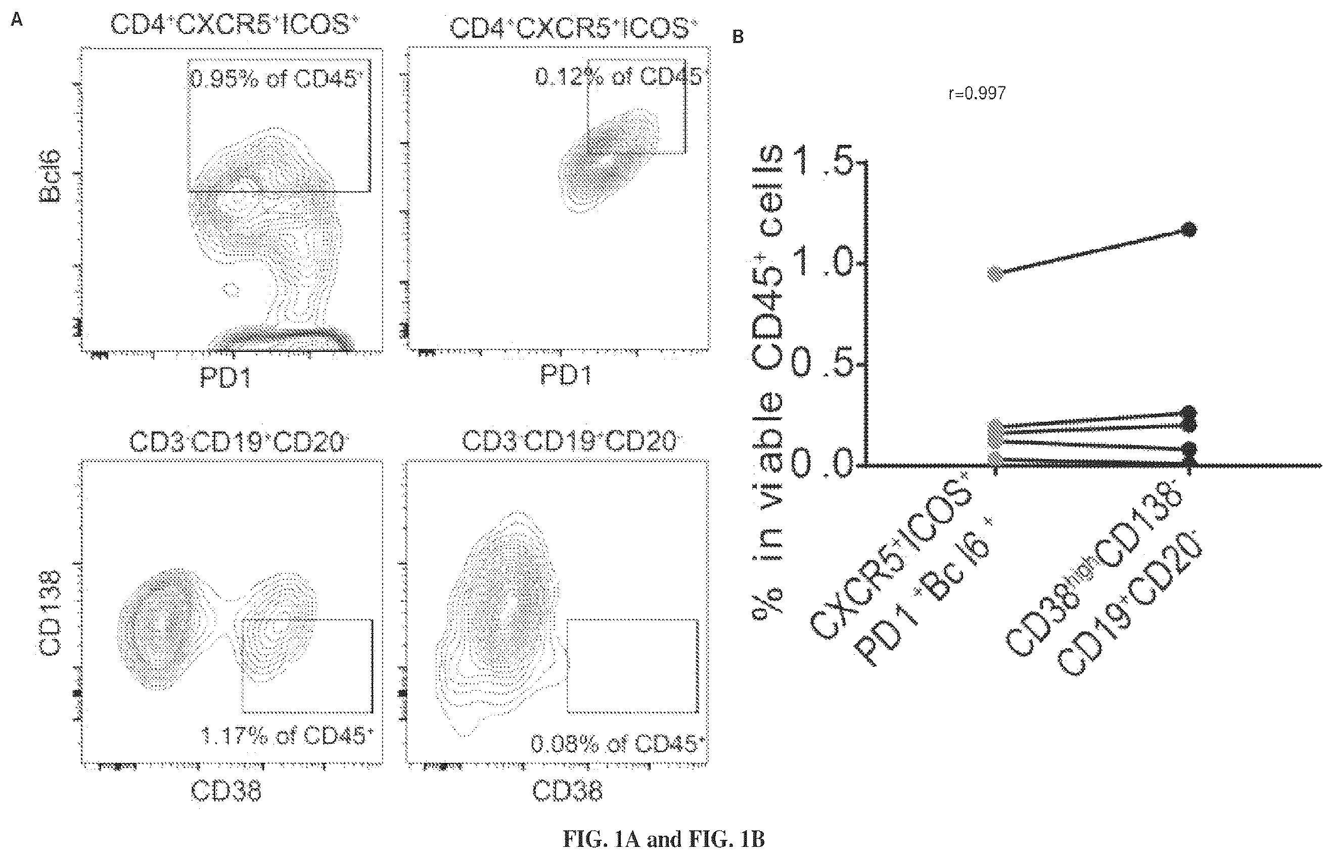 Patent US12479908 Figure 1 – Antibodies against programmed cell death protein 1 (PD1) and uses thereof