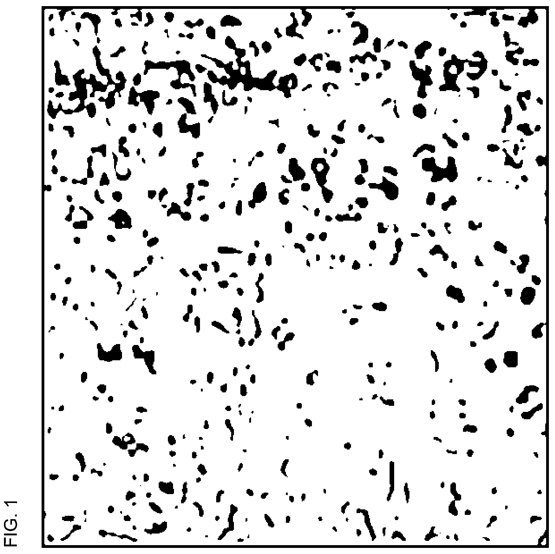 Patent US12479992 — Biaxially oriented polyester film and production method therefor — Figure 1