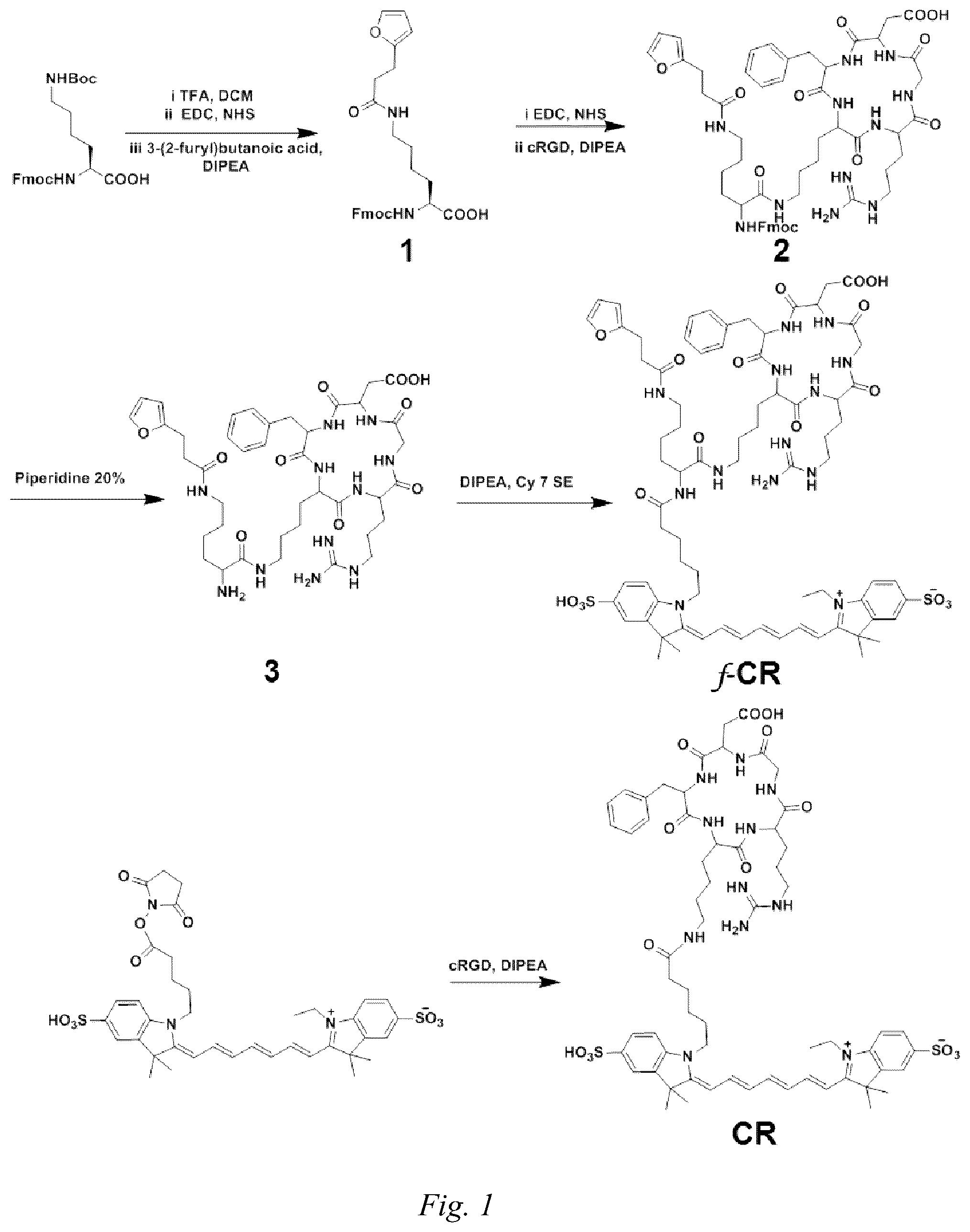 Patent US12480043 Figure 1 – Red-light-mediated nucleic acid anchoring-type fluorescent probe, and preparation method therefor and use thereof