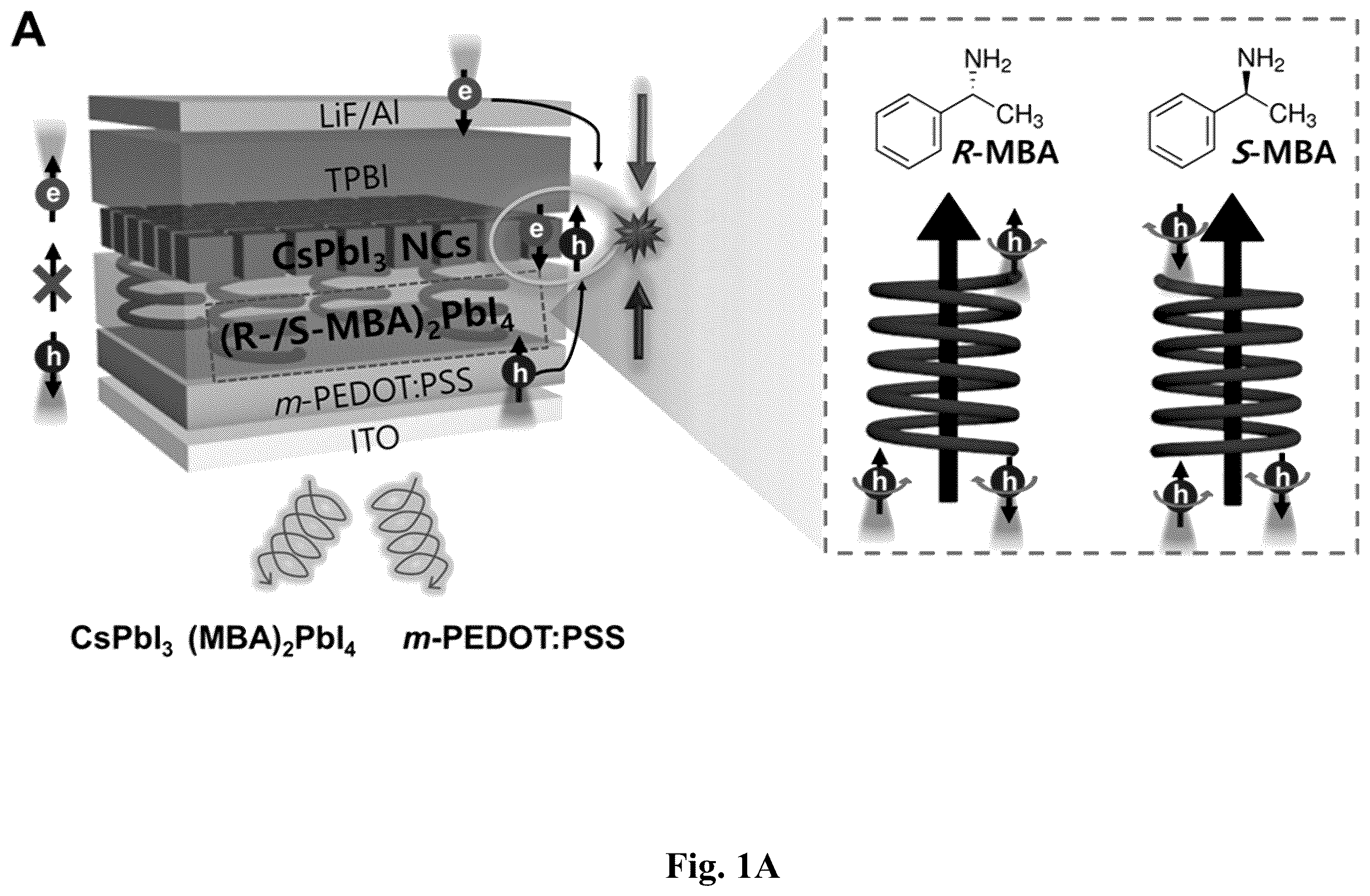 Patent US12480045 — Chiral induced spin selectivity enabling a room temperature spin polarized light emitting diode — Figure 1