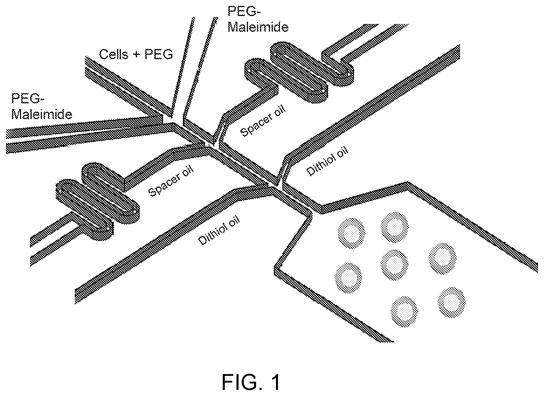 Patent US12480090 — Contiguity particle formation and methods of use — Figure 1