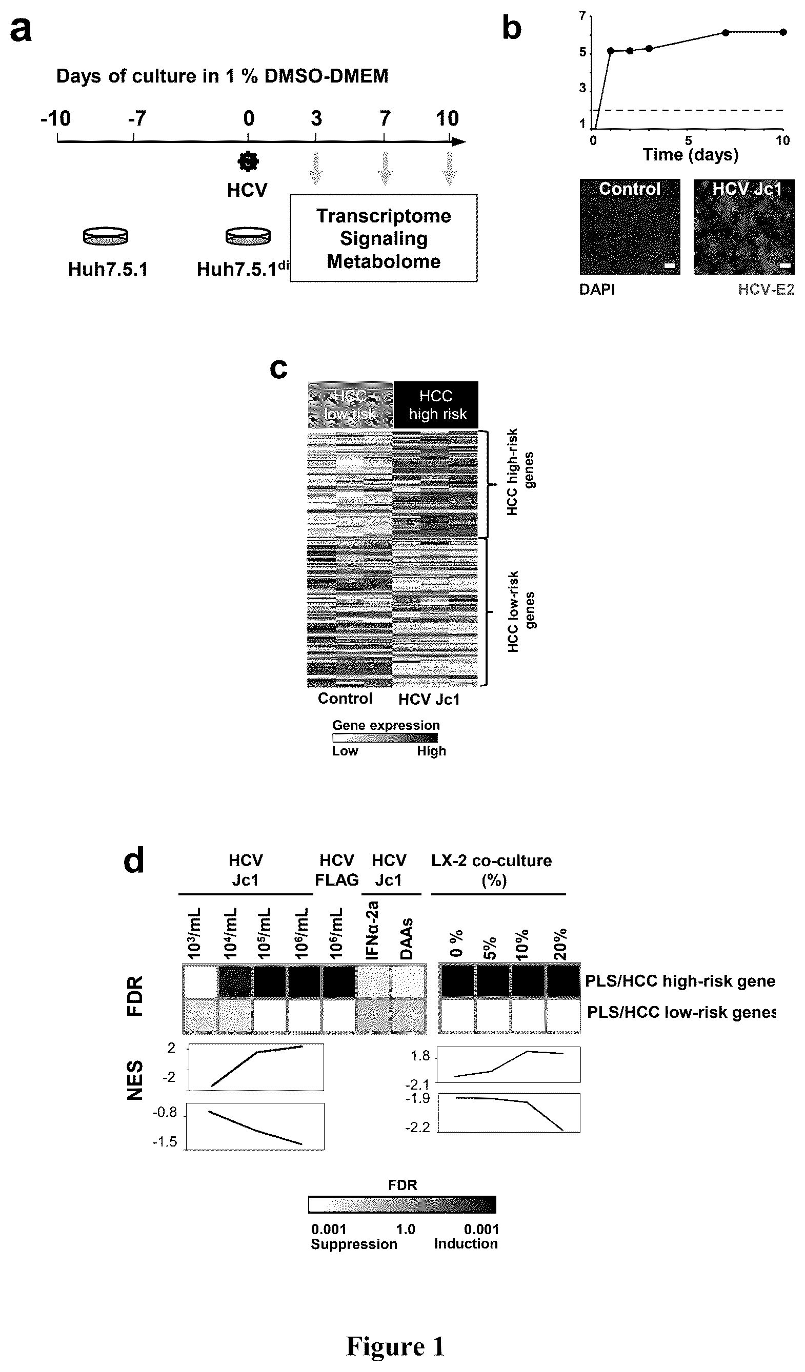Patent US12480096 Figure 1 – Clinical gene signature-based human cell culture model and uses thereof