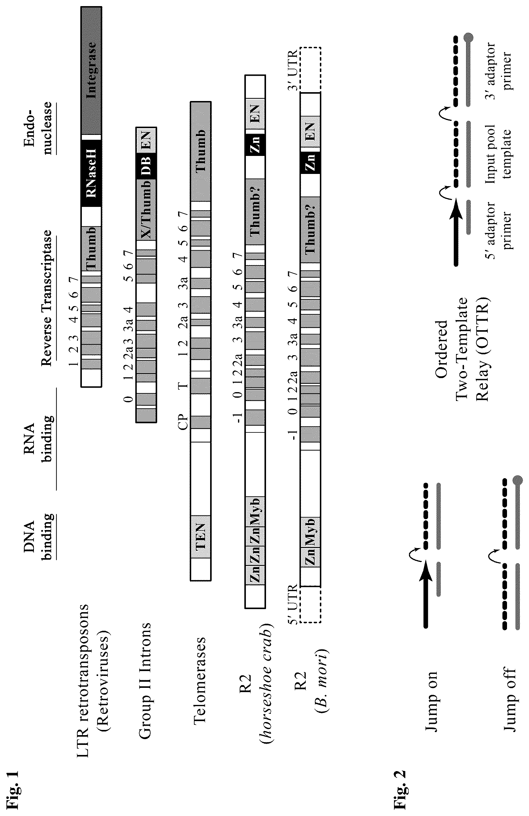 Patent US12480106 — Reactions with non-retroviral reverse transcriptase — Figure 1