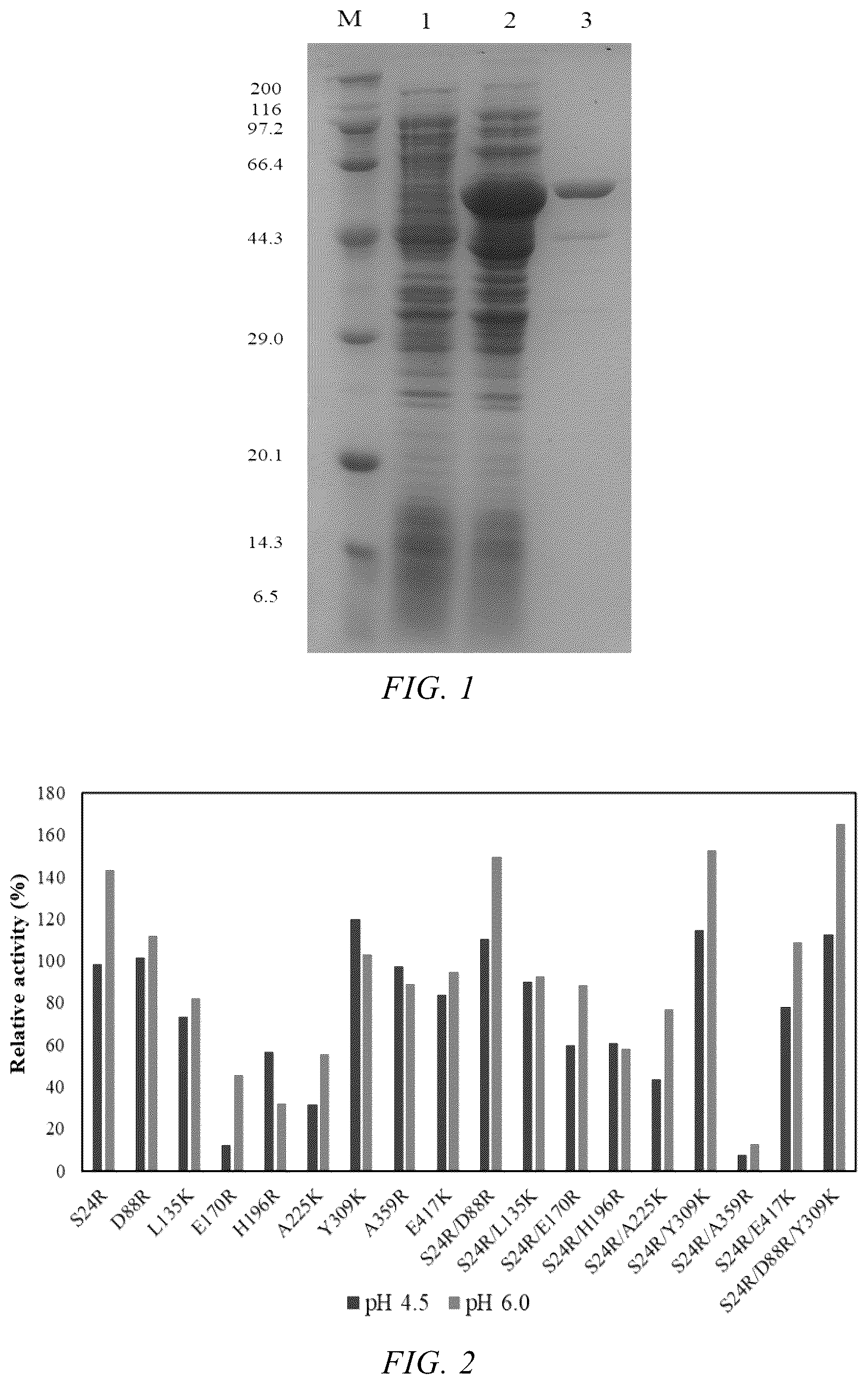 Patent US12480112 Figure 1 – Glutamate decarboxylase mutant with improved pH tolerance and use thereof in synthesis of gamma-aminobutyric acid