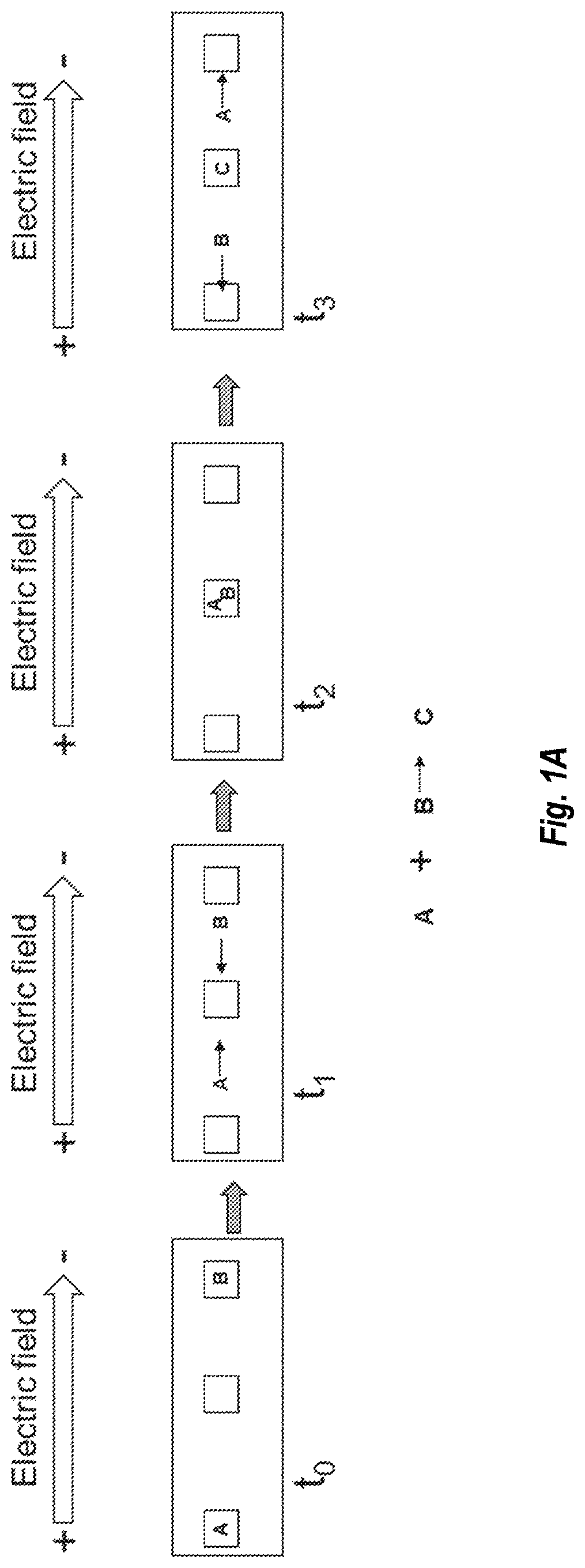Patent US12480114 Figure 1 – Nucleic acid library preparation using electrophoresis