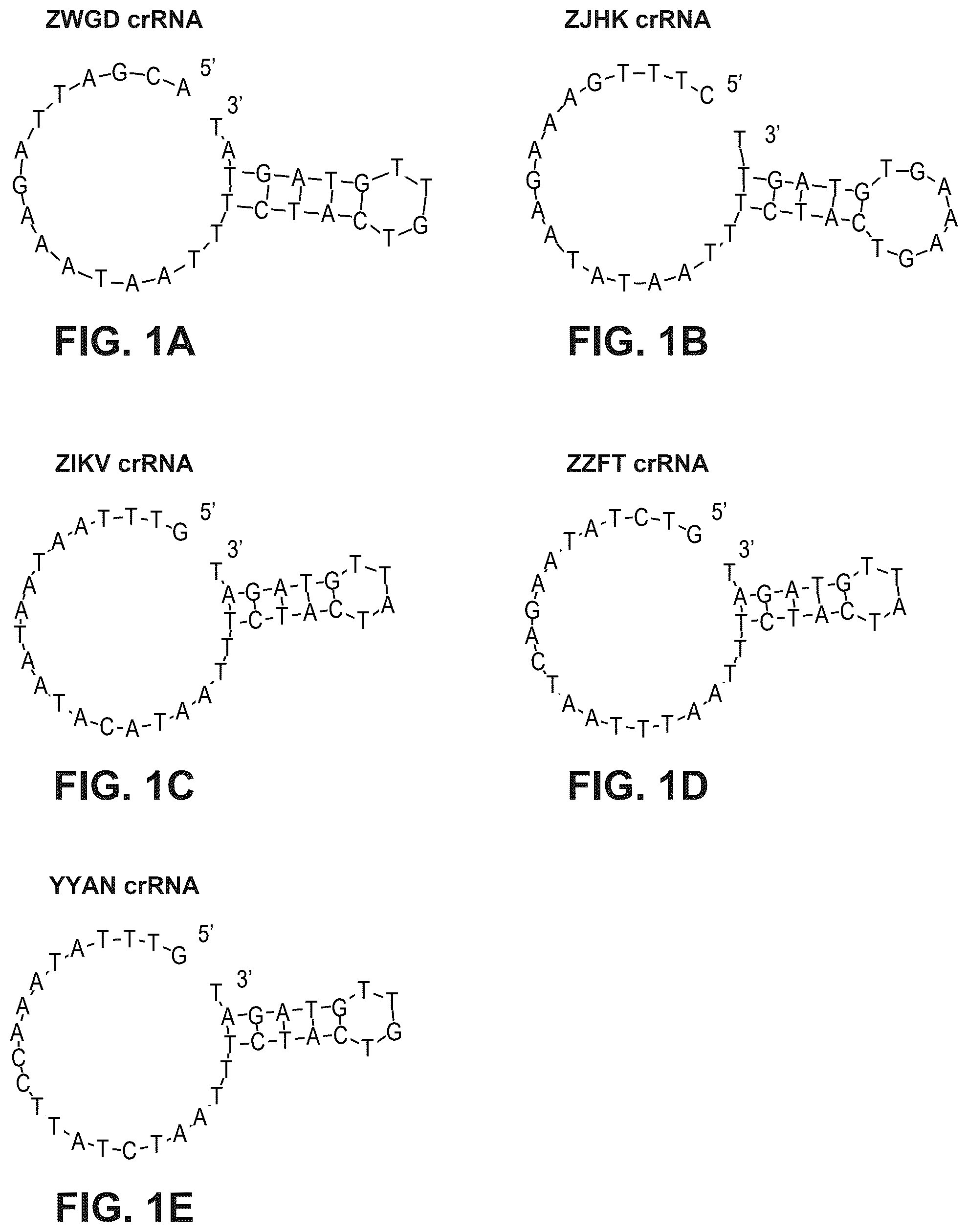 Patent US12480141 — Type V Cas proteins and applications thereof — Figure 1