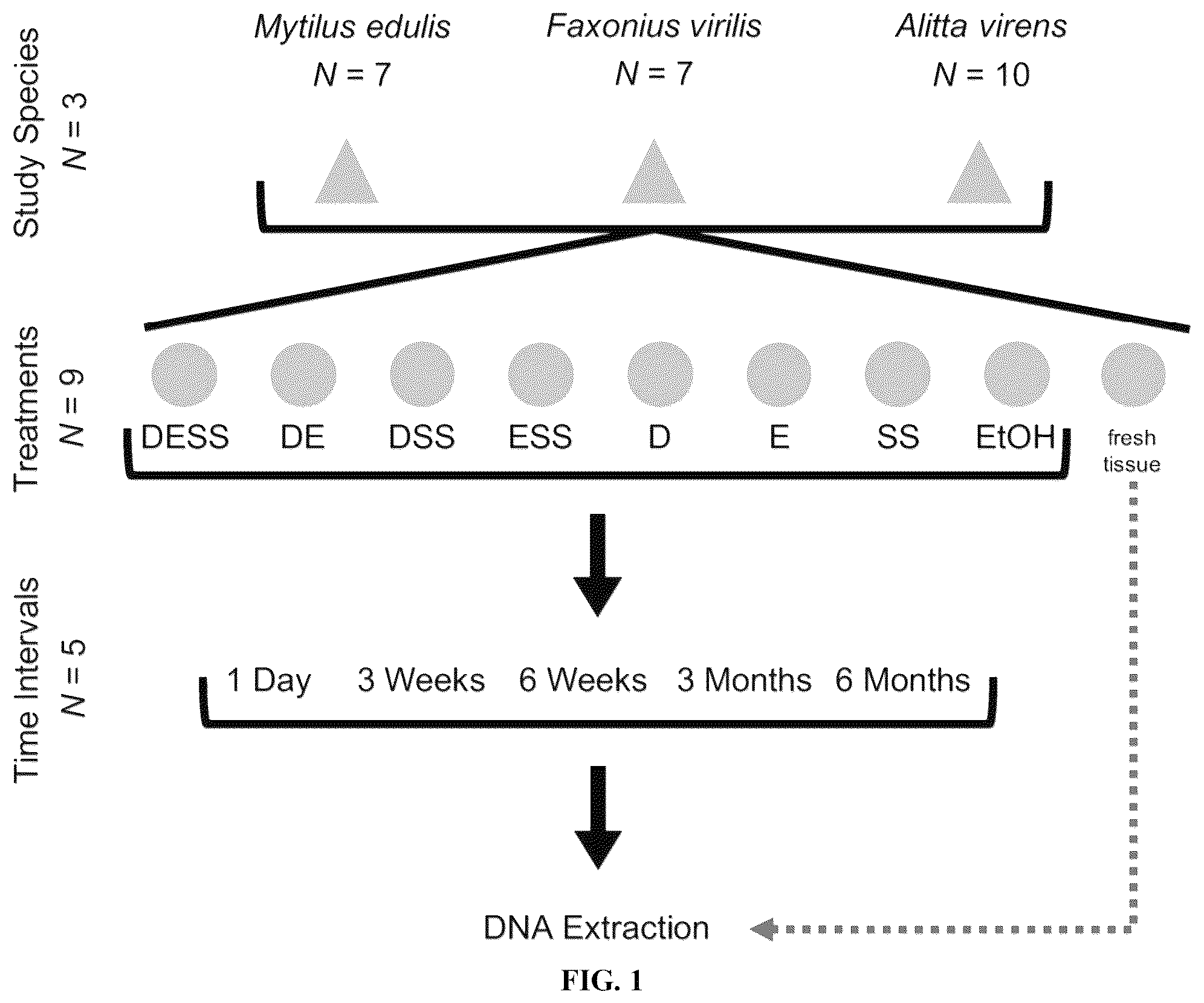 Patent US12480151 — DNA preservation in biological specimens using metal chelators — Figure 1