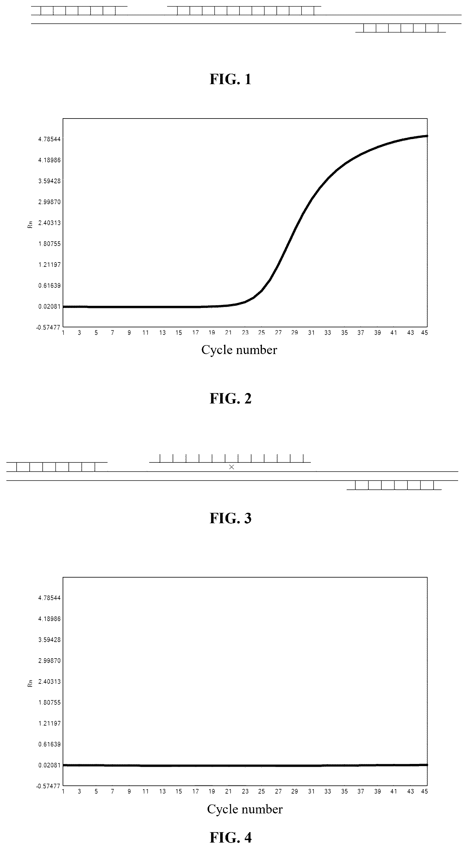 Patent US12480153 — Primer and probe composition for cat blood type detection, detection method, and use — Figure 1
