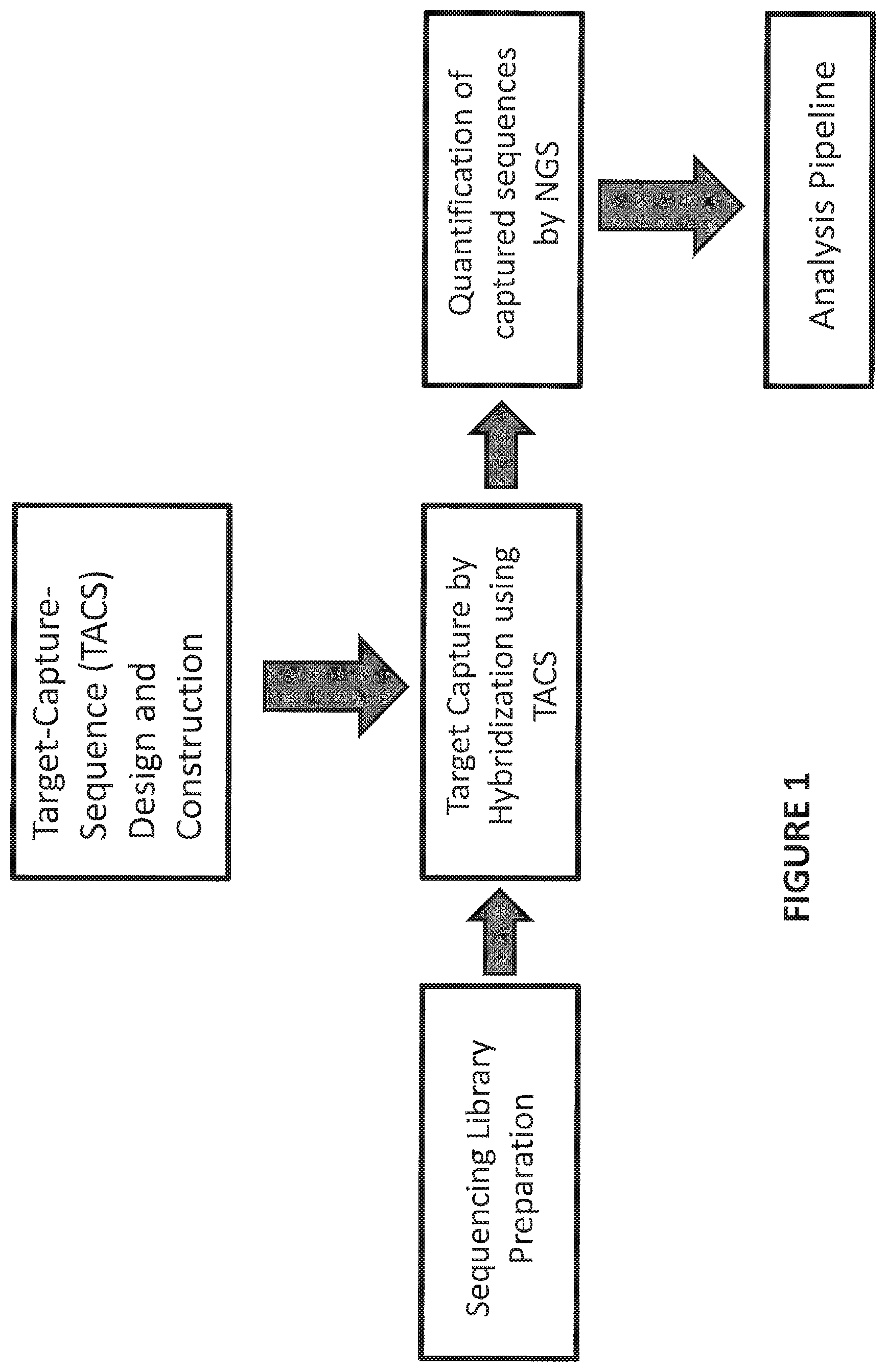 Patent US12480160 — Multiplexed parallel analysis of targeted genomic regions for non-invasive prenatal testing — Figure 1