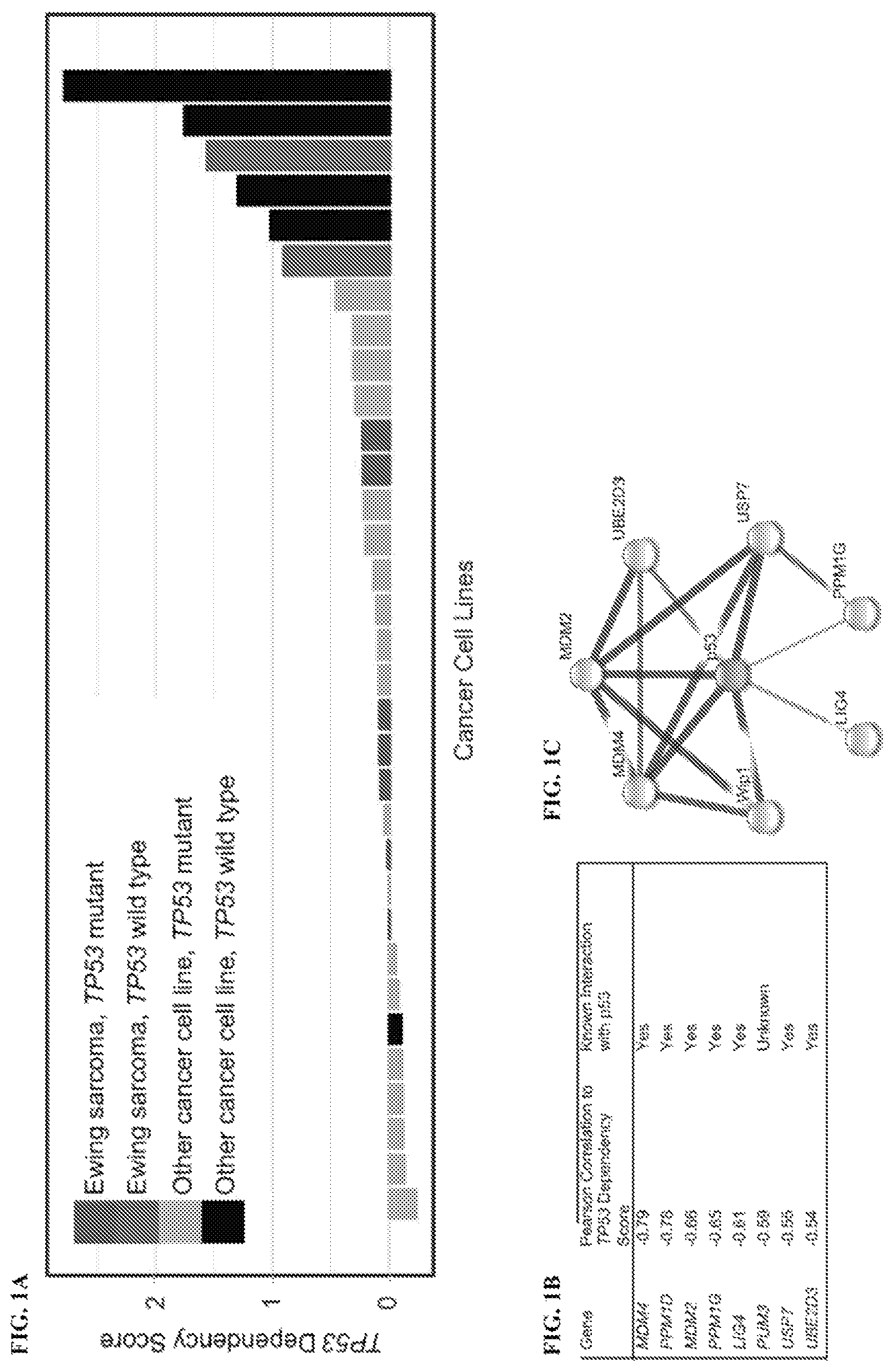 Patent US12480163 — Compositions and methods for identification assessment, prevention, and treatment of Ewing sarcoma using TP53 dependency biomarkers and modulators — Figure 1