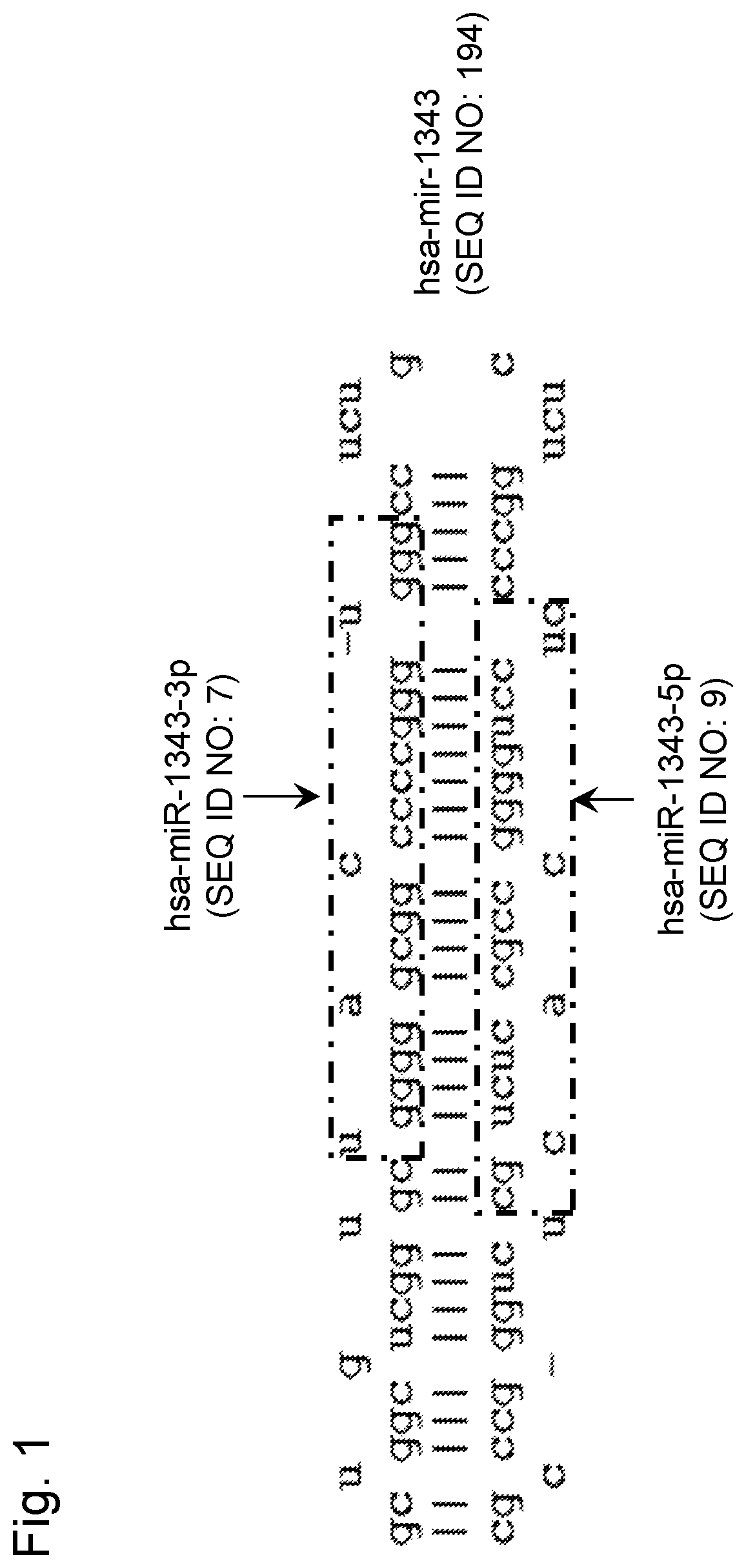 Patent US12480165 — Prostate cancer detection kit or device, and detection method — Figure 1