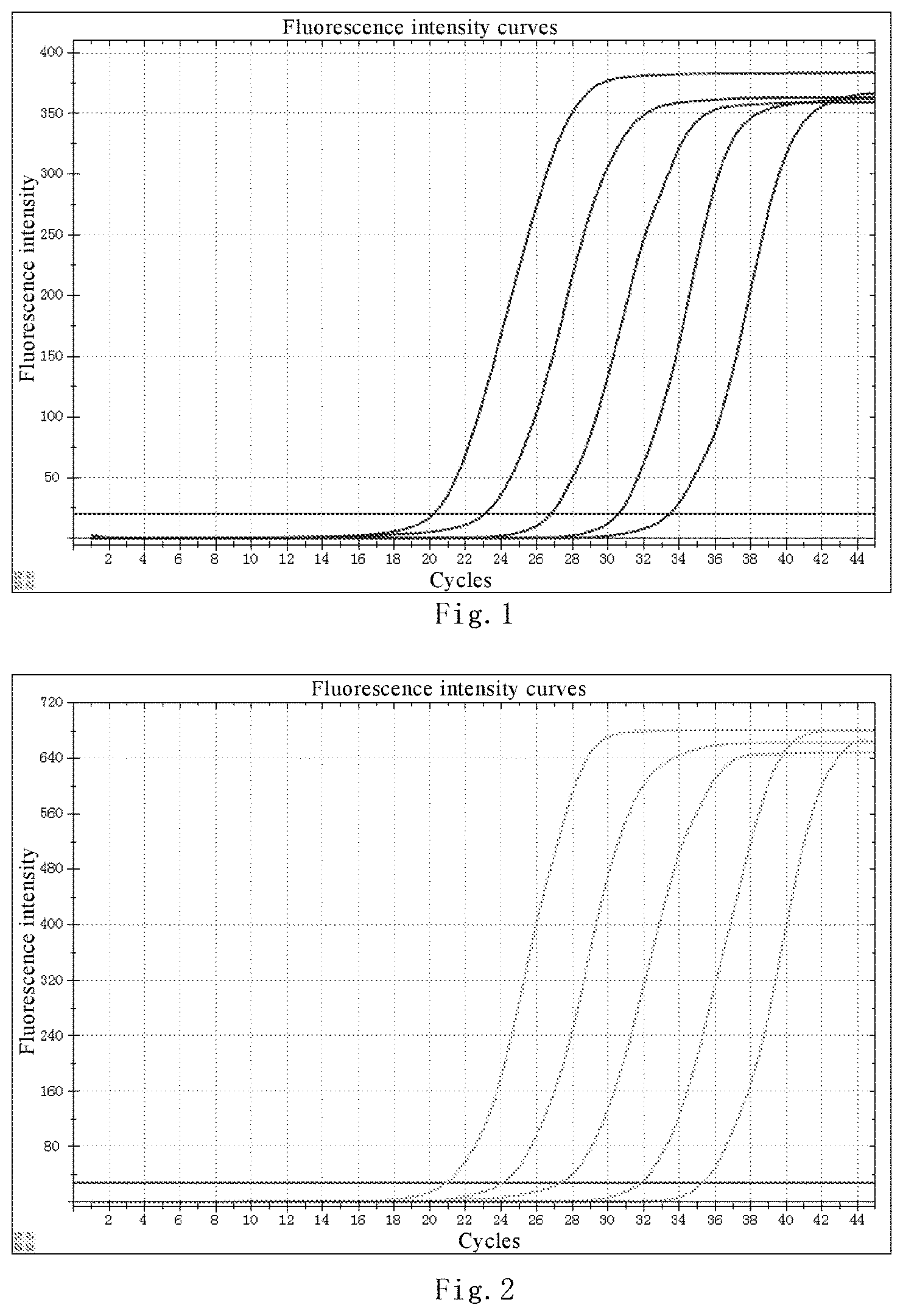 Patent US12480169 — Nucleic acid detection kit for novel coronavirus 2019-nCoV — Figure 1