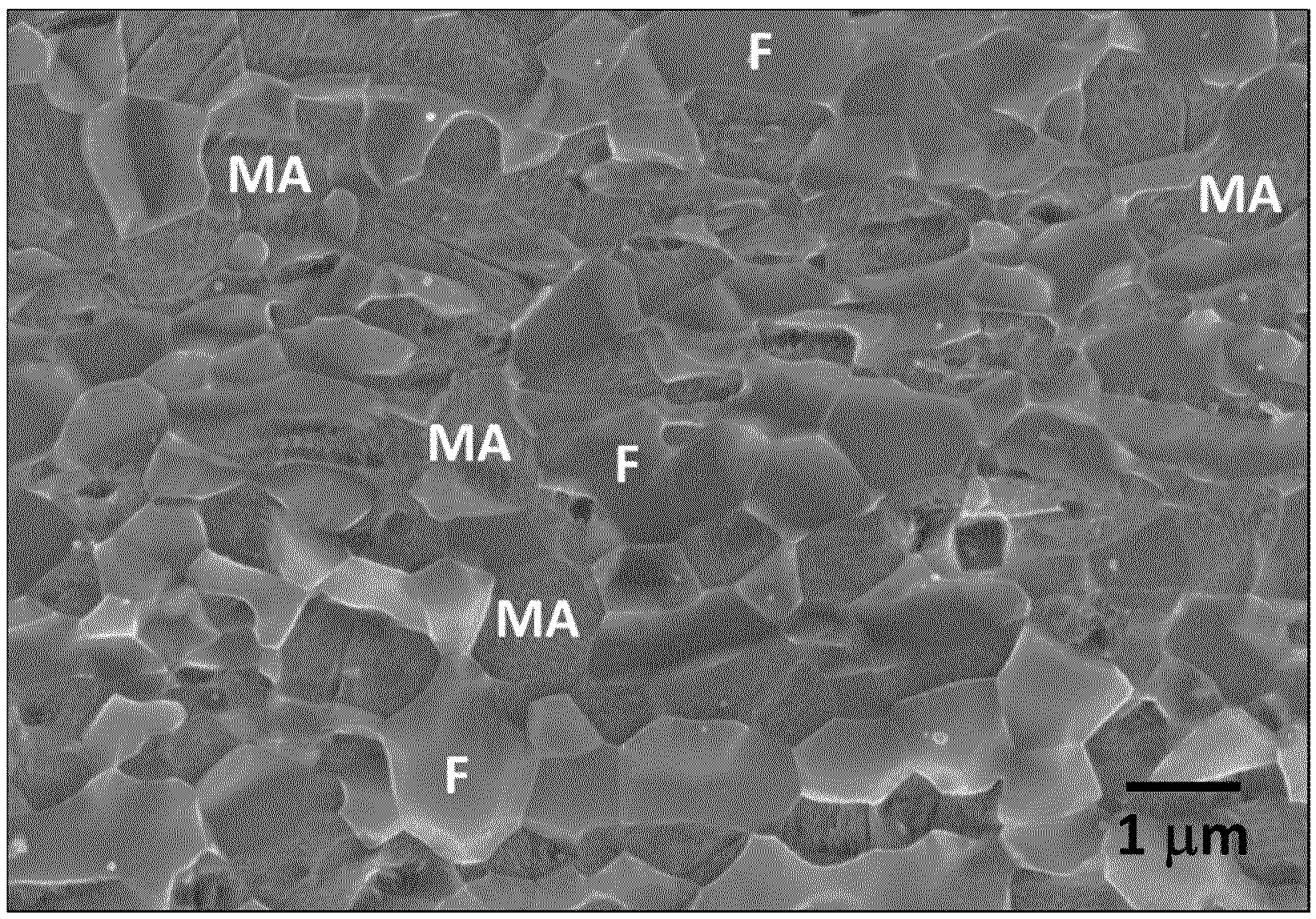 Patent US12480172 — Method of making a cold formable high strength steel strip and steel strip — Figure 1