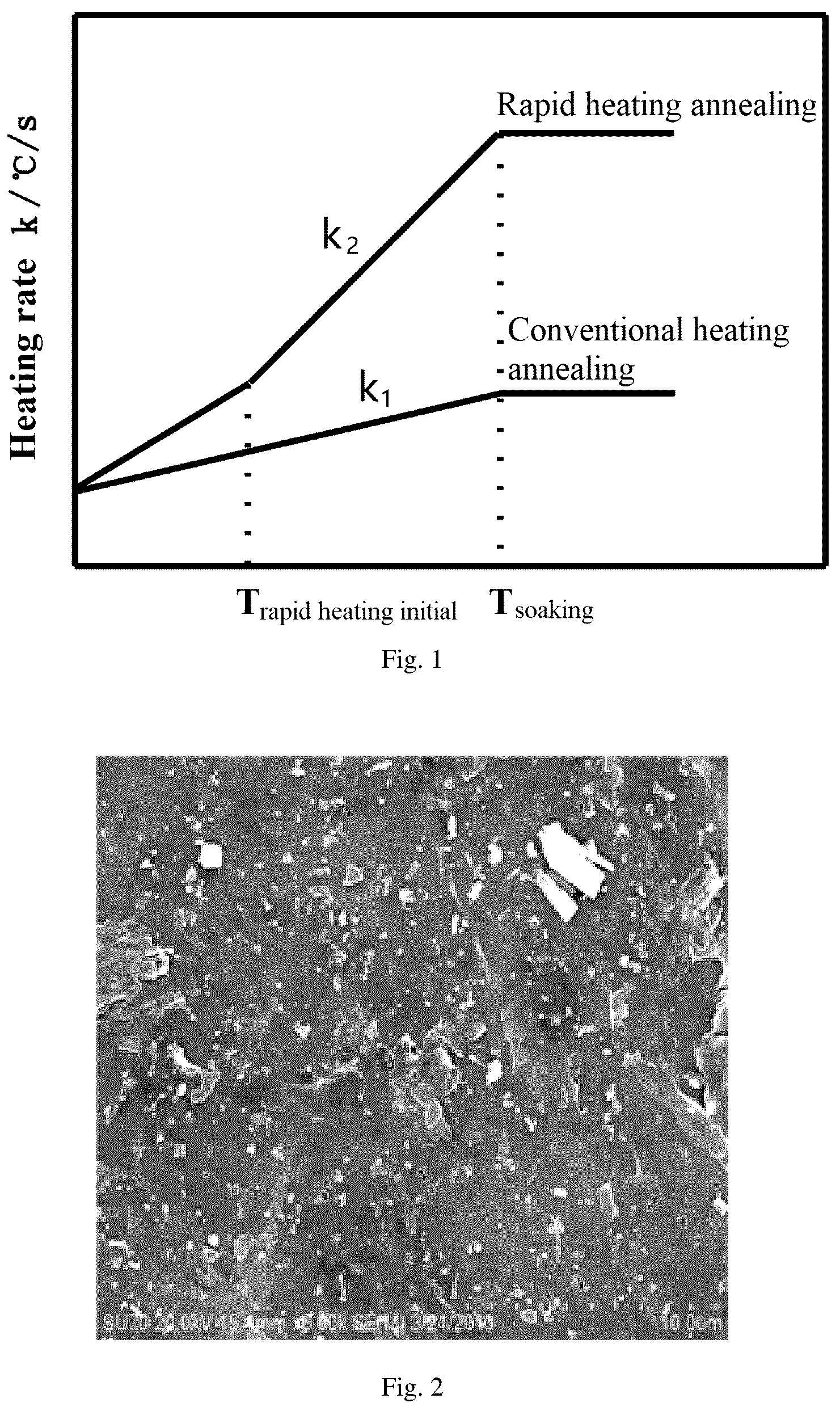 Patent US12480174 — 600 MPa grade non-oriented electrical steel sheet and manufacturing method thereof — Figure 1