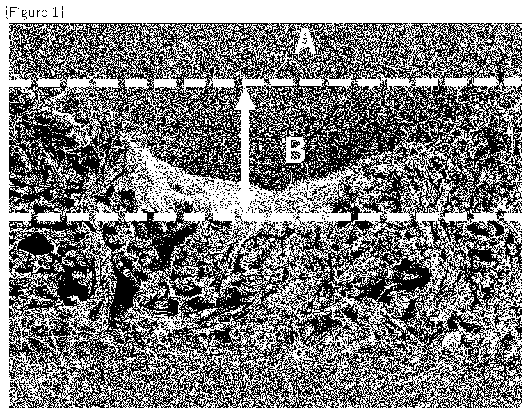 Patent US12480252 — Artificial leather — Figure 1