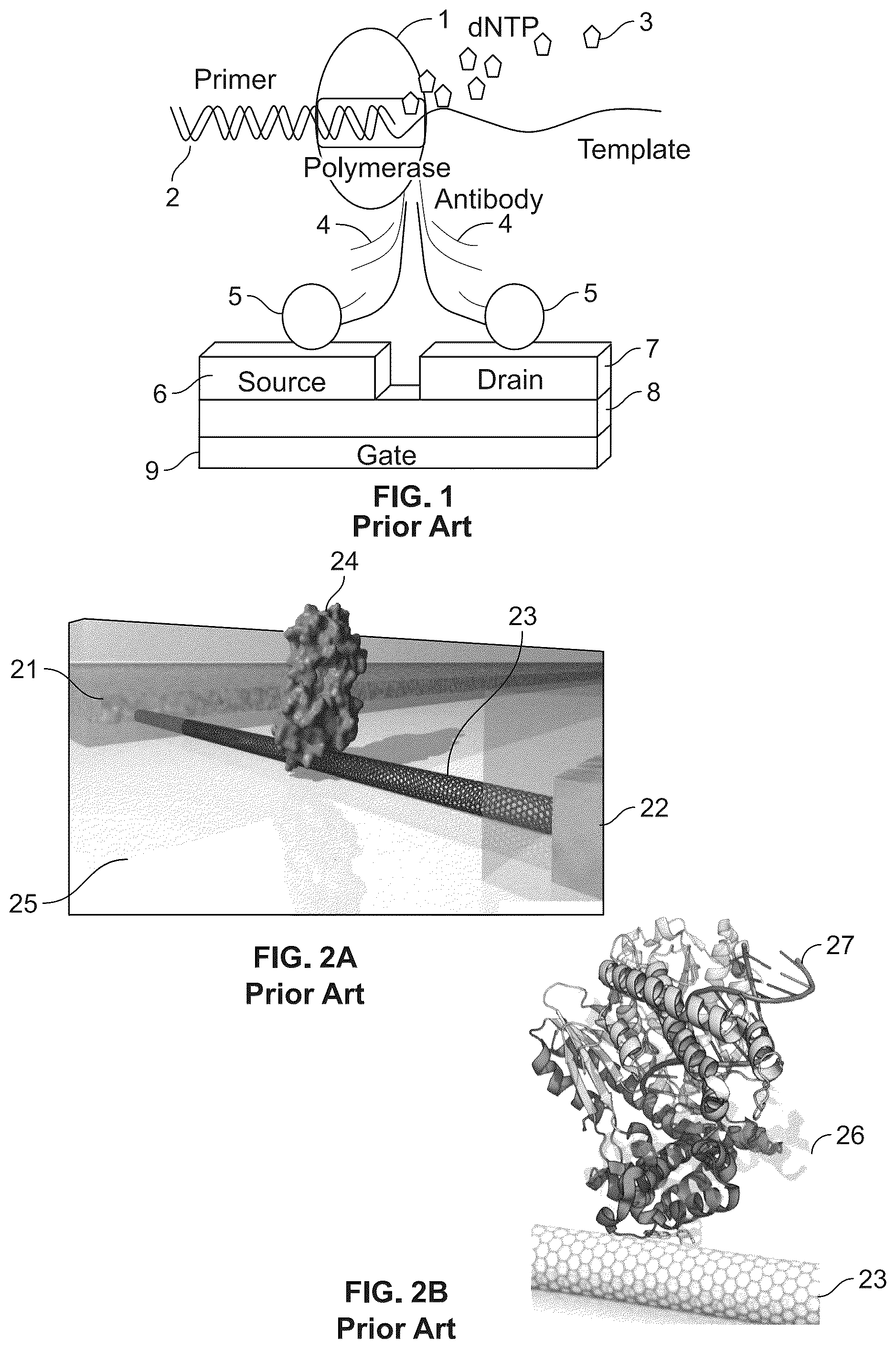 Patent US12480937 — Device, system and method for direct electrical measurement of enzyme activity — Figure 1