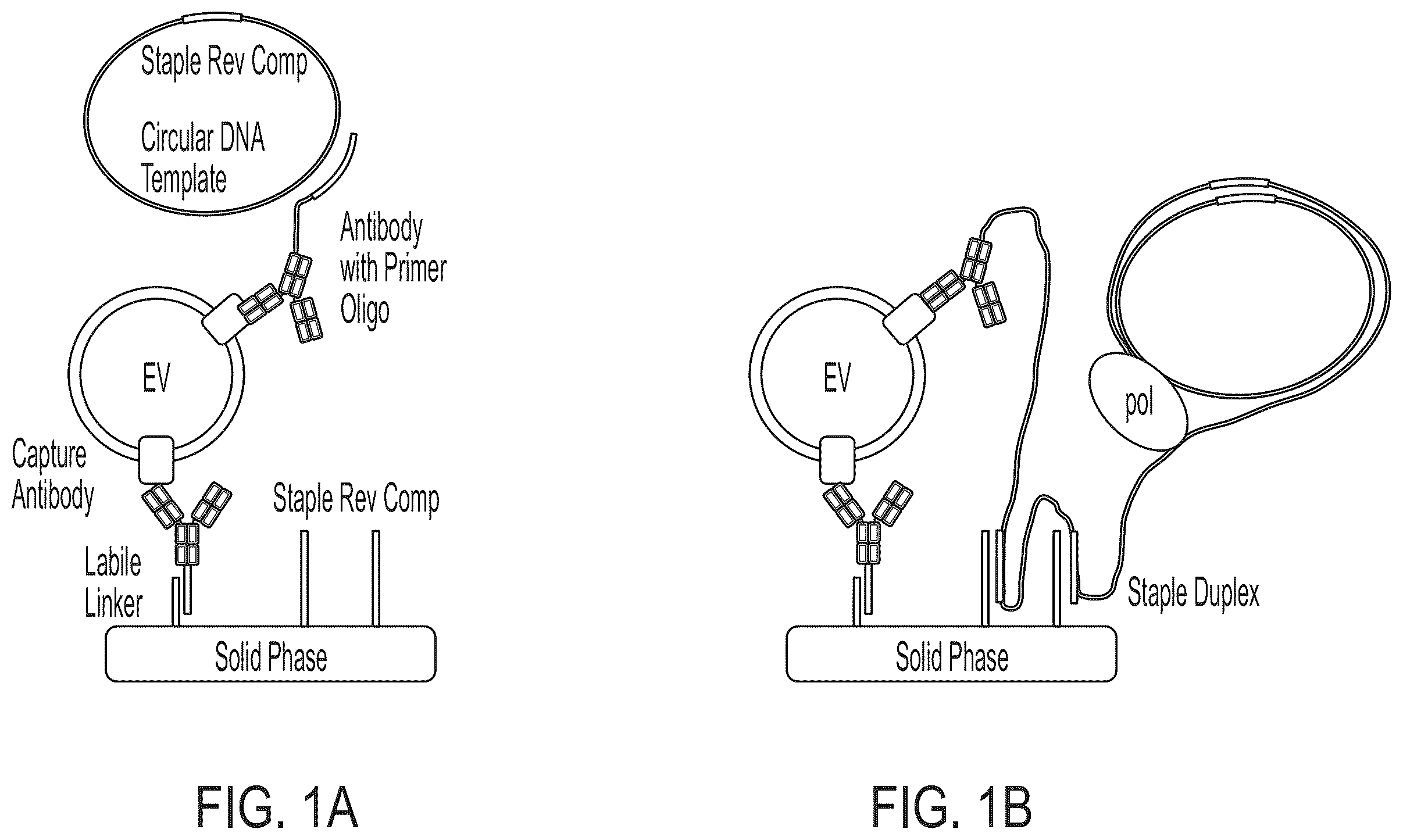 Patent US12480940 Figure 1 – Methods for isolating surface marker displaying agents