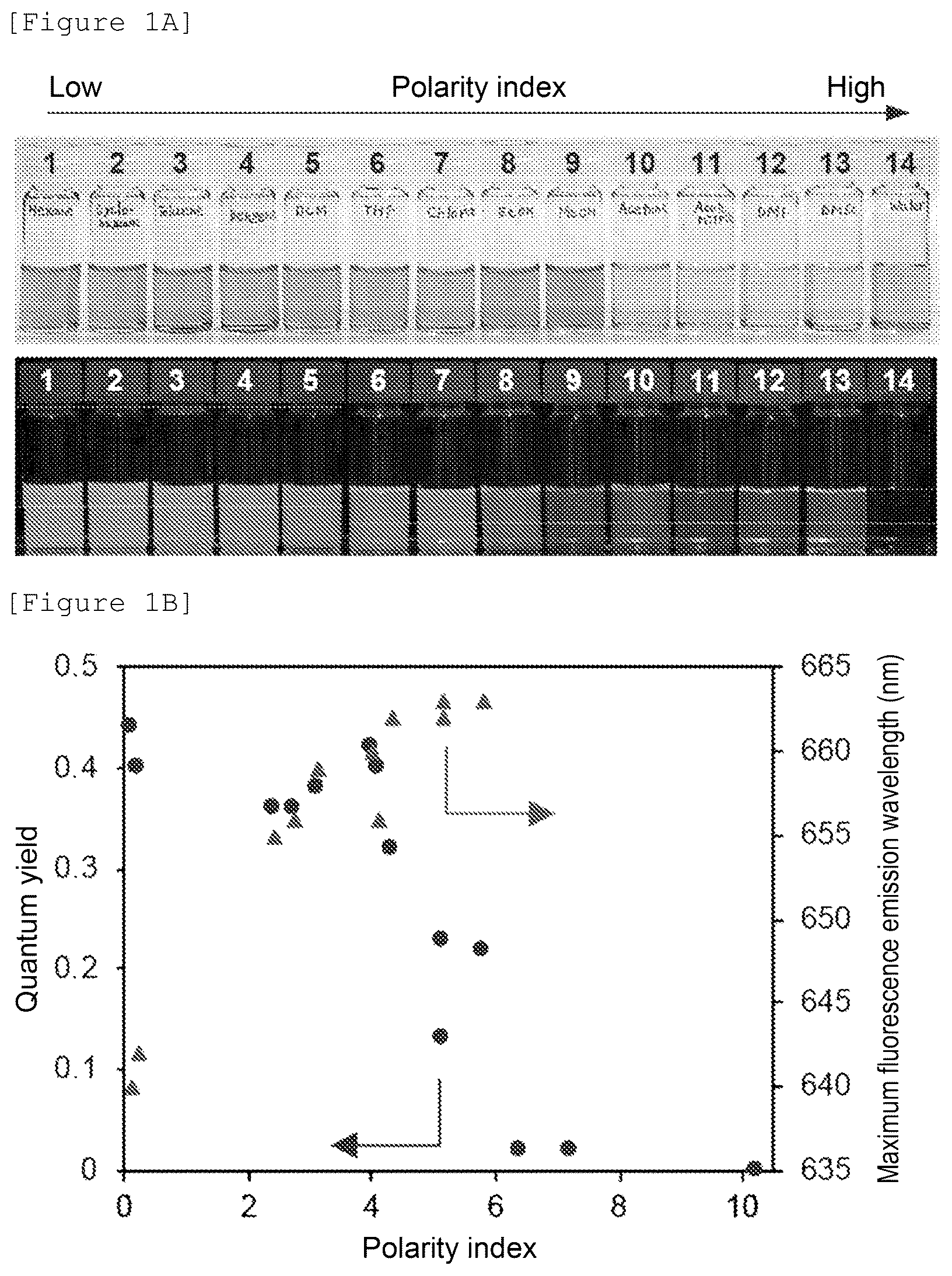 Patent US12480943 Figure 1 – Temperature-responsive fluorescent particles for detection of biomolecules
