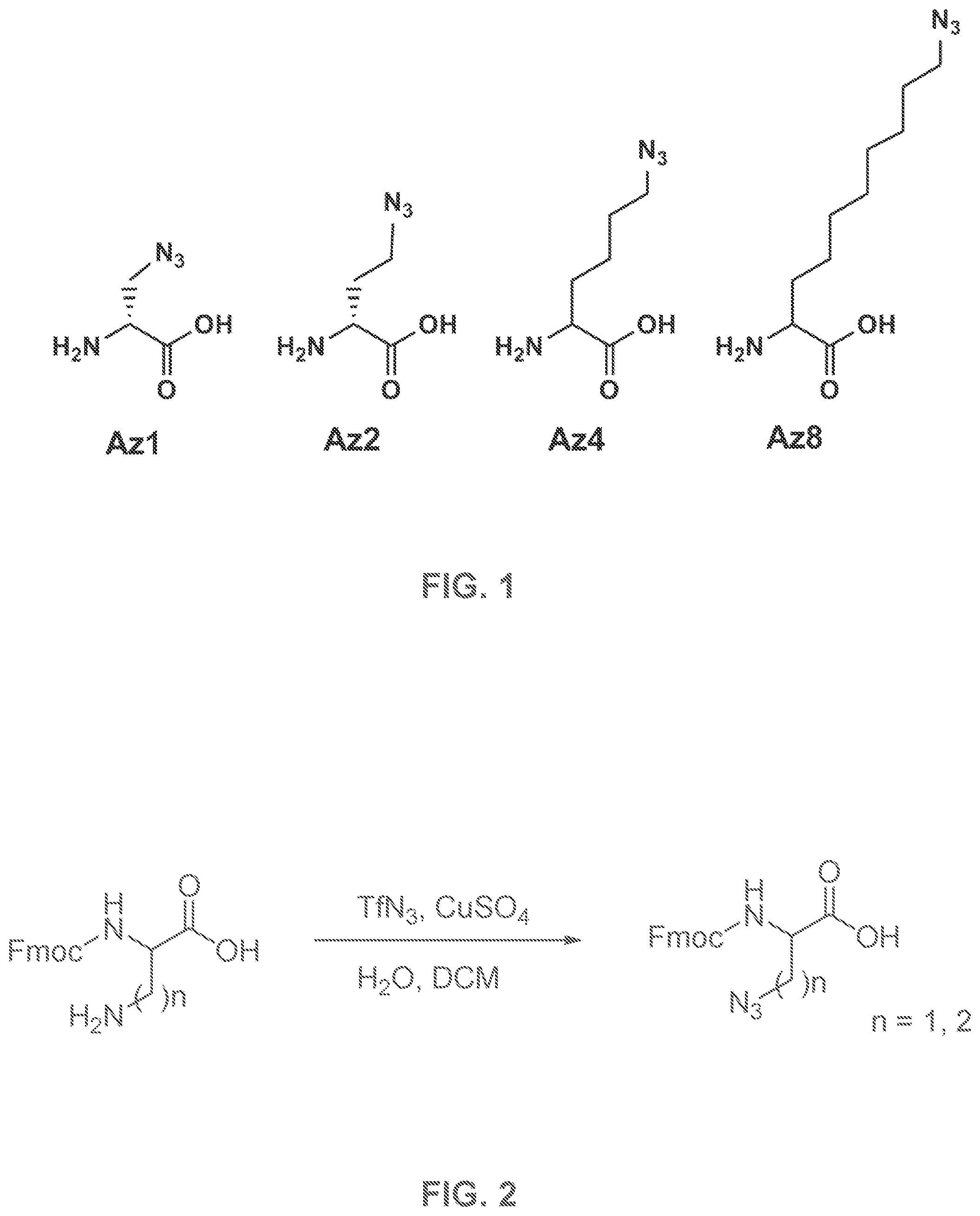 Patent US12480950 — AKT-specific capture agents, compositions, and methods of using and making — Figure 1