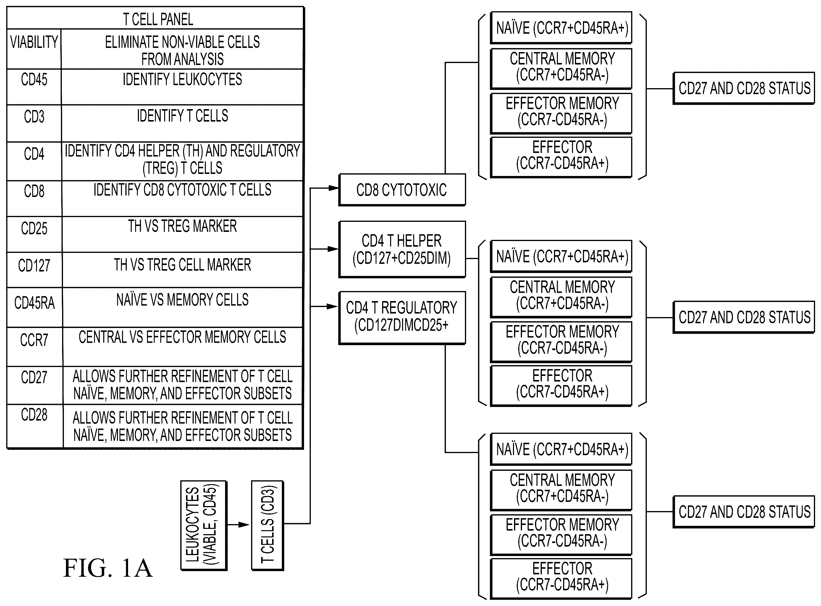 Patent US12480951 — Methods and compositions for T cell therapy — Figure 1
