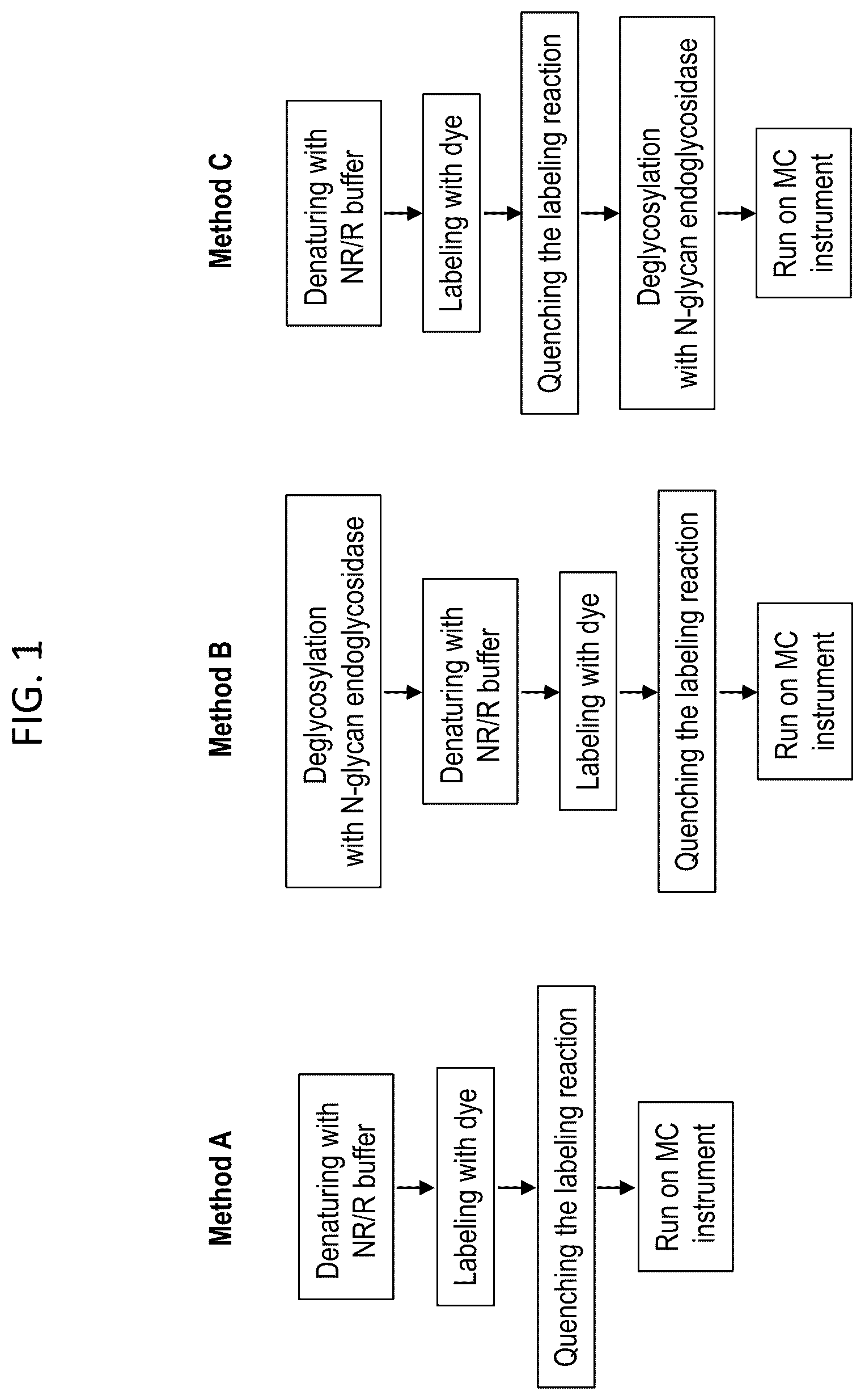 Patent US12480955 — Deglycosylation methods for electrophoresis of glycosylated proteins — Figure 1