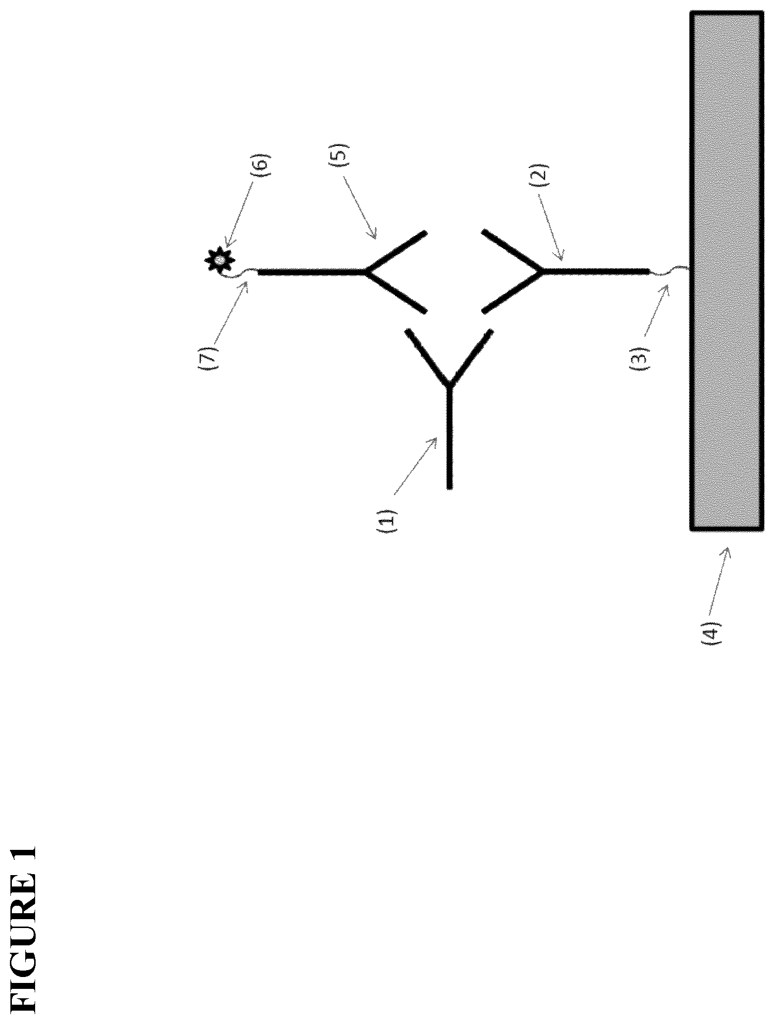 Patent US12480957 — Method of screening for anti-drug antibodies against immunoglobulin single variable domain-based drugs — Figure 1