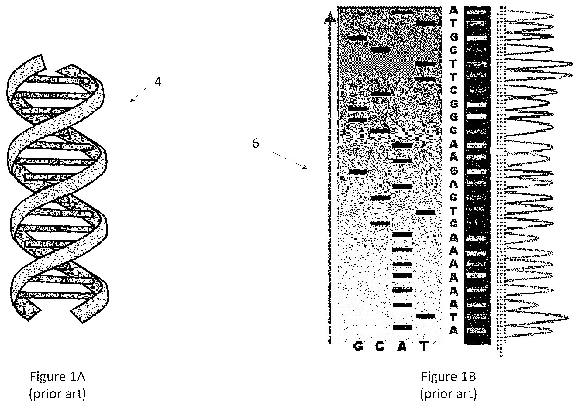 Patent US12488882 — System and method for alerting providers to ineffective or under effective treatments based on genetic efficacy testing results — Figure 1