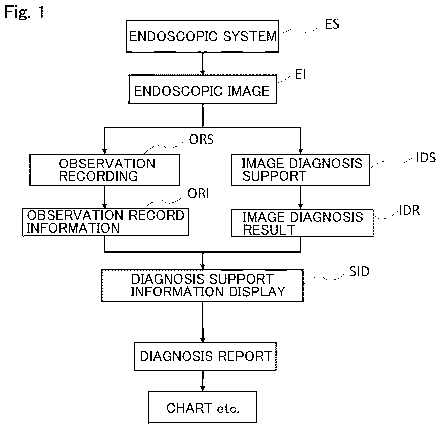 Patent US12488896 Figure 1 – Method and system for endoscopic diagnosis support