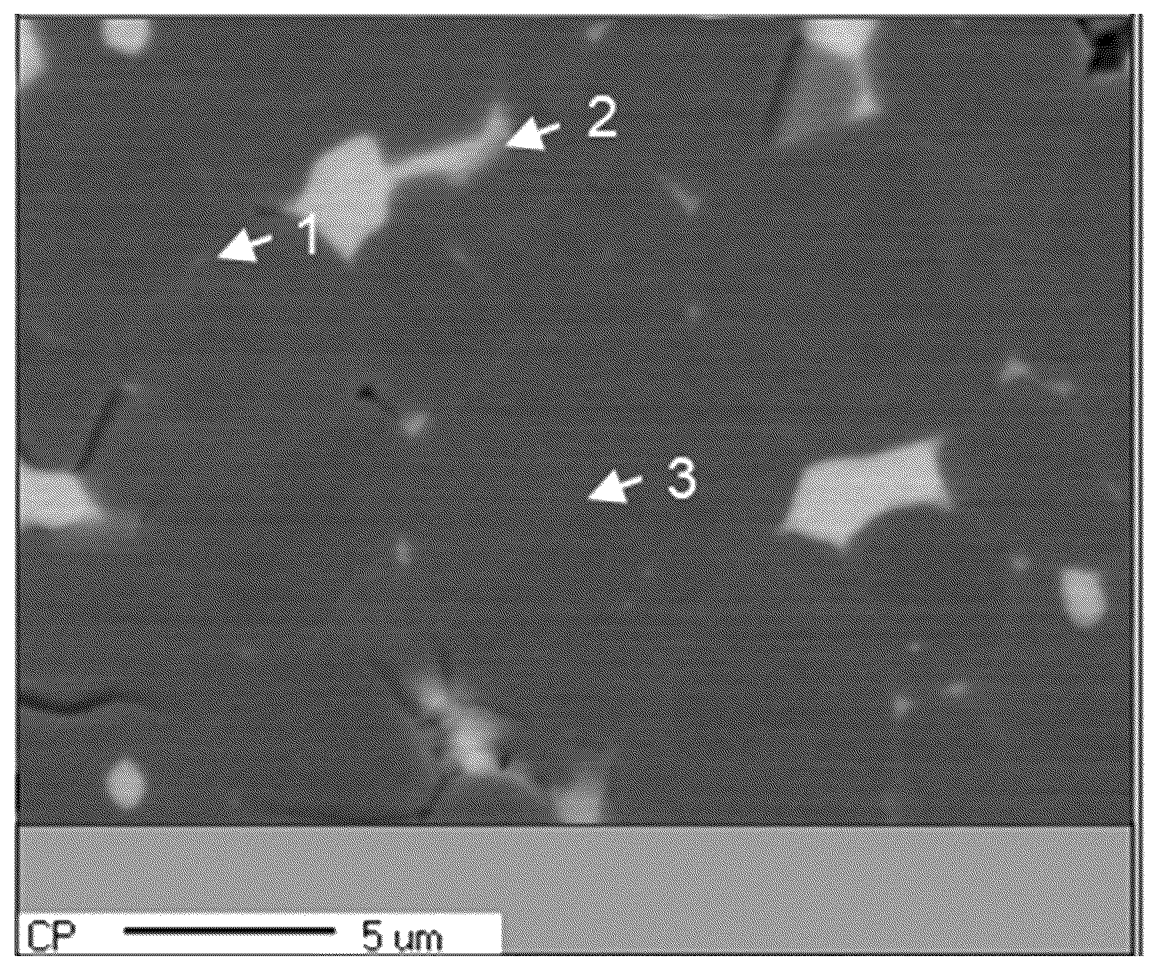 Patent US12488918 Figure 1 – Neodymium-iron-boron magnet material, raw material composition preparation method, and application