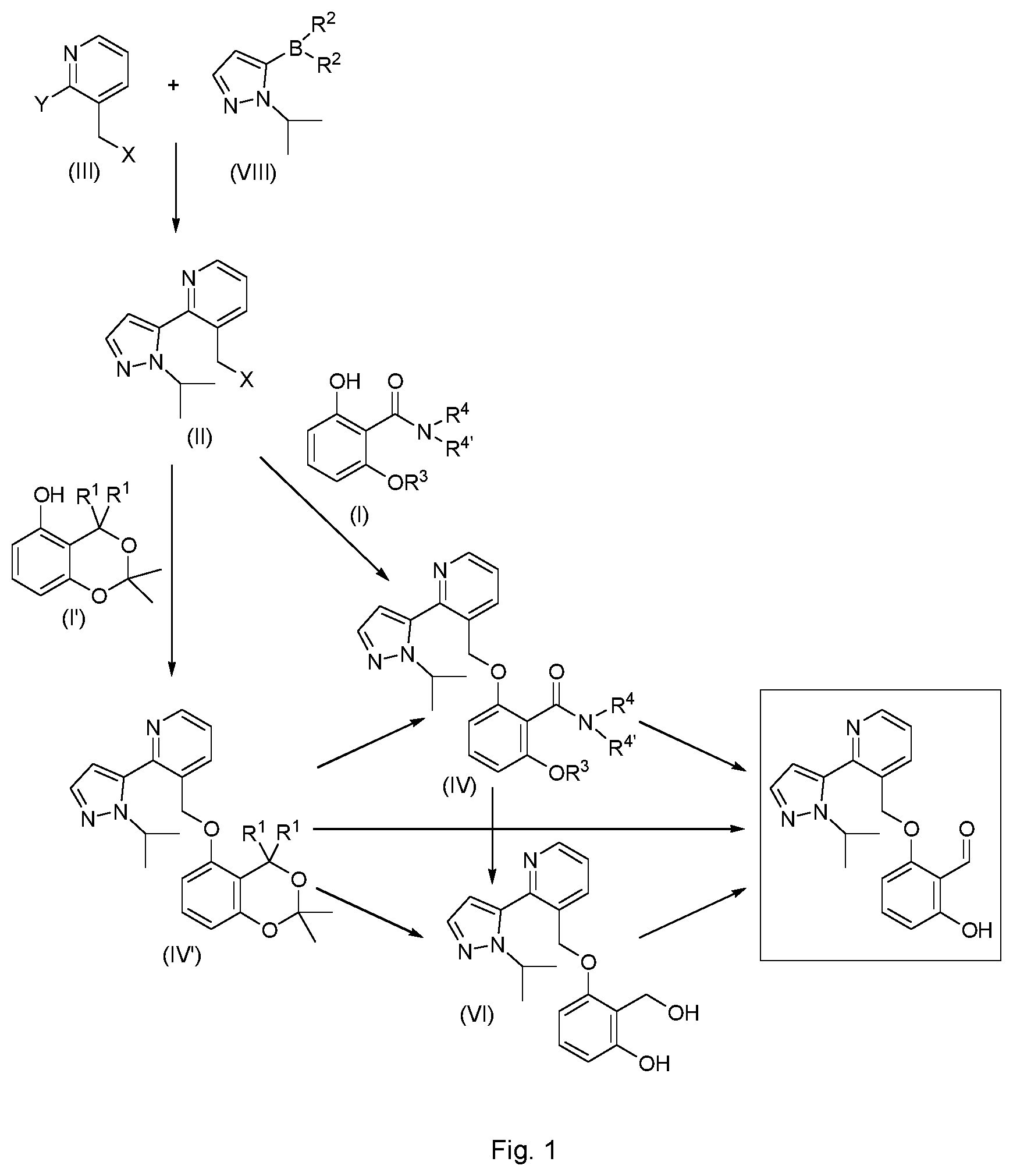 Patent US12492180 Figure 1 – Process and intermediates for the preparation of Voxelotor