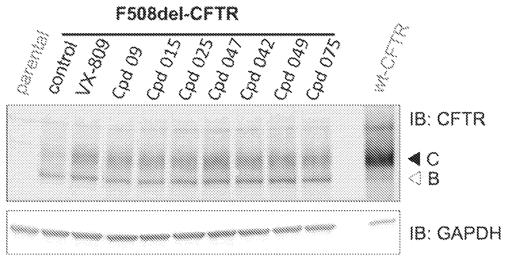 Patent US12492193 — Pyrazole derivatives for the treatment of cystic fibrosis — Figure 1