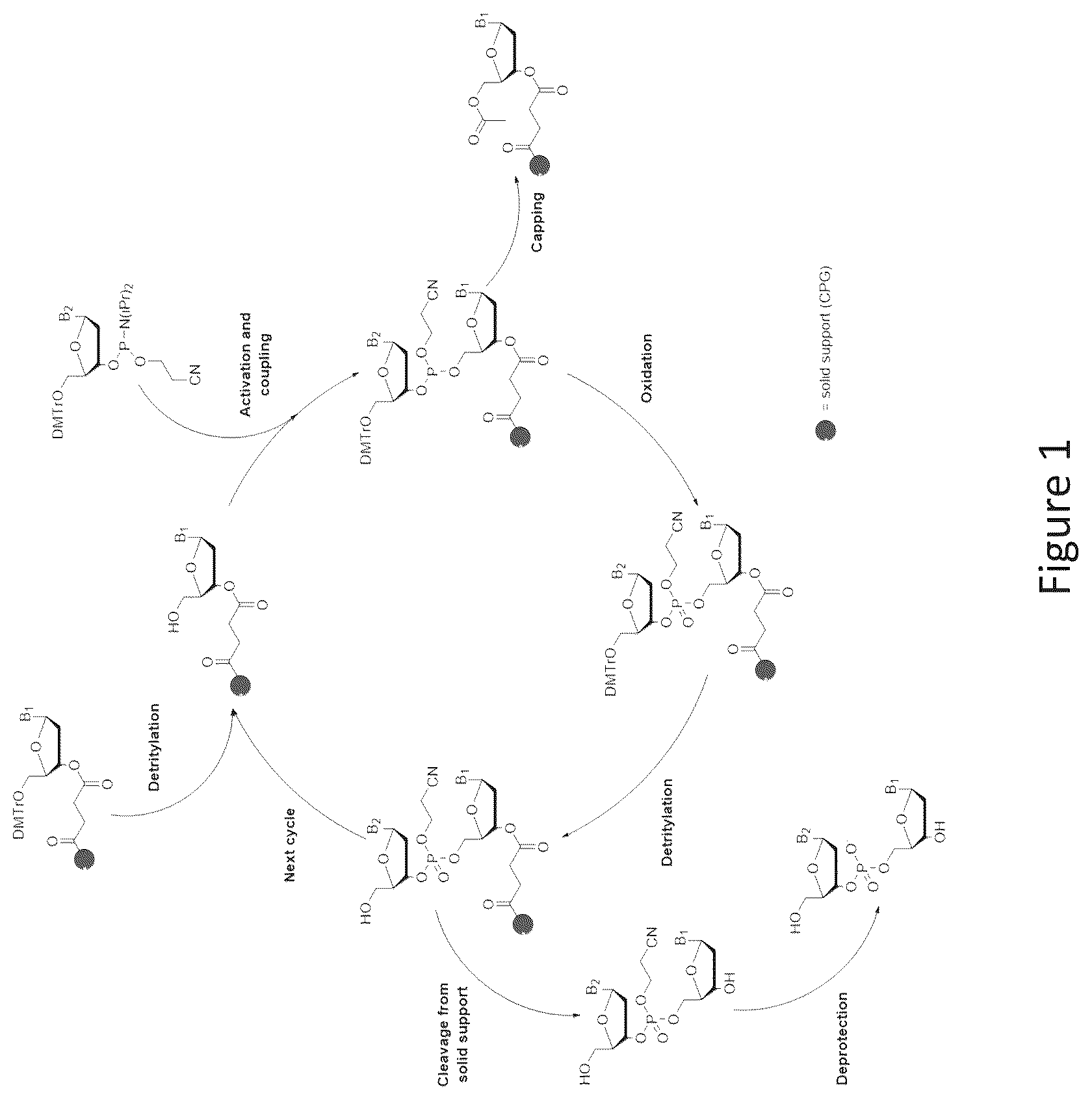 Patent US12492220 — Method for the preparation of oligonucleotides — Figure 1