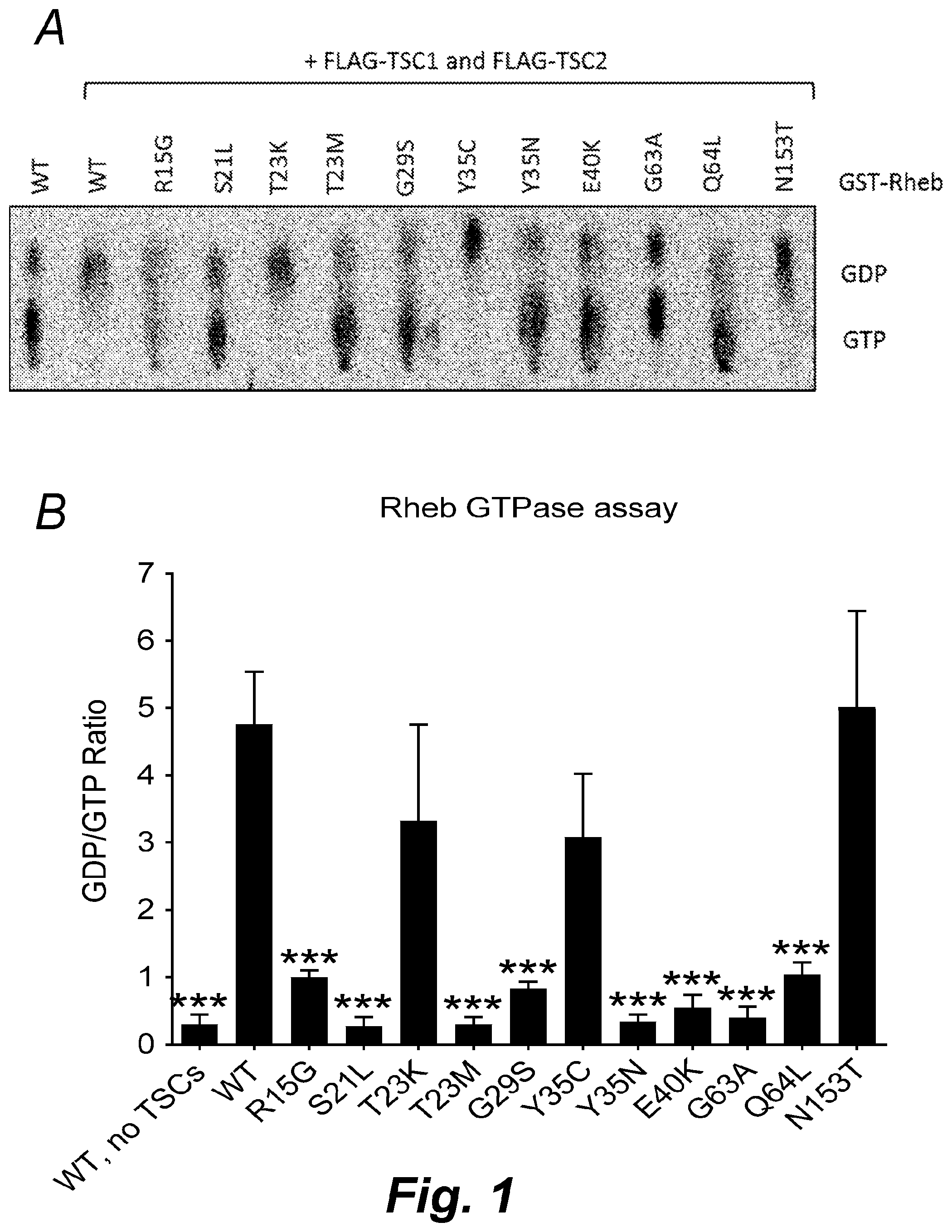 Patent US12492232 Figure 1 – Methods for producing proteins