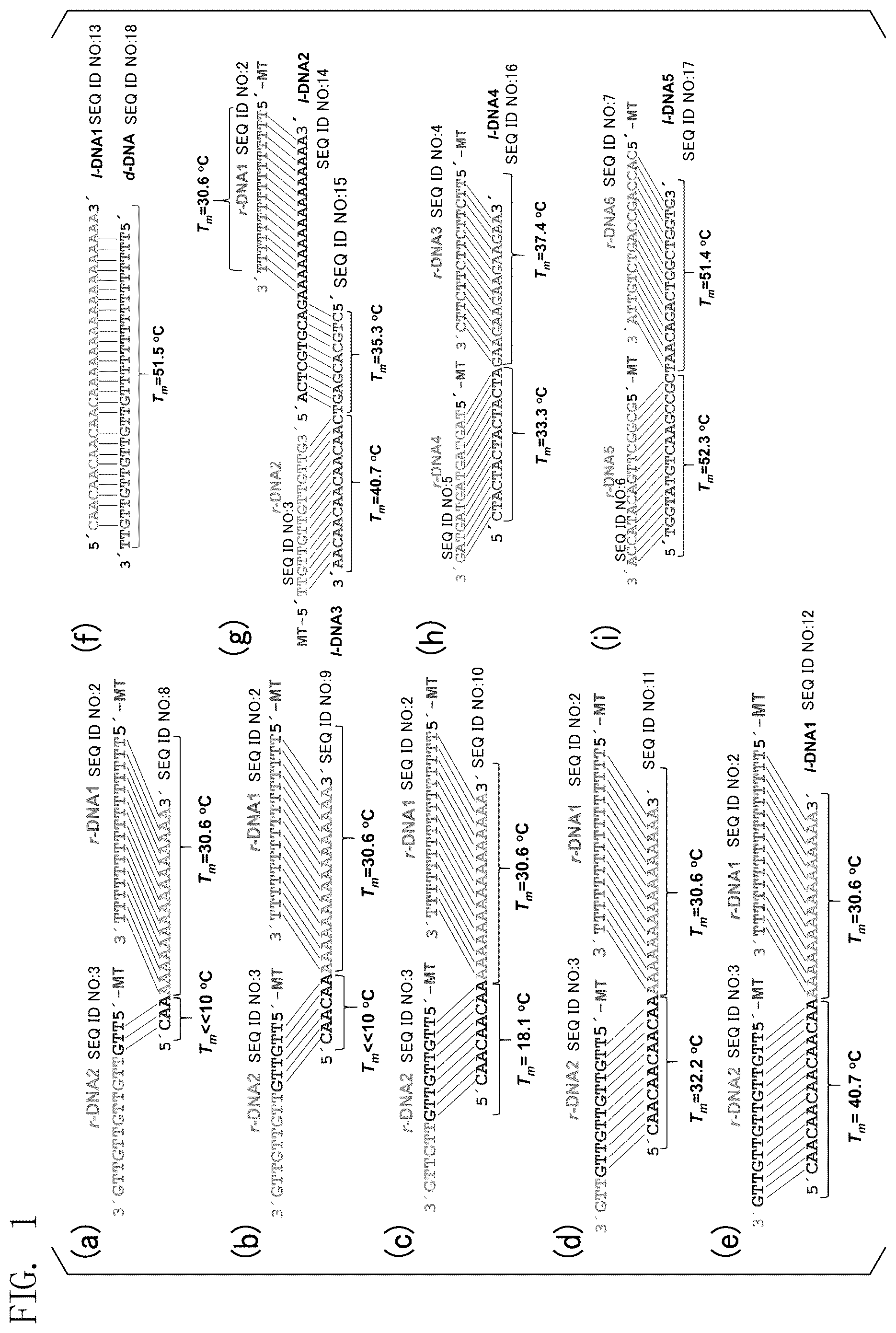 Patent US12492234 Figure 1 – Fiber assembly and use thereof