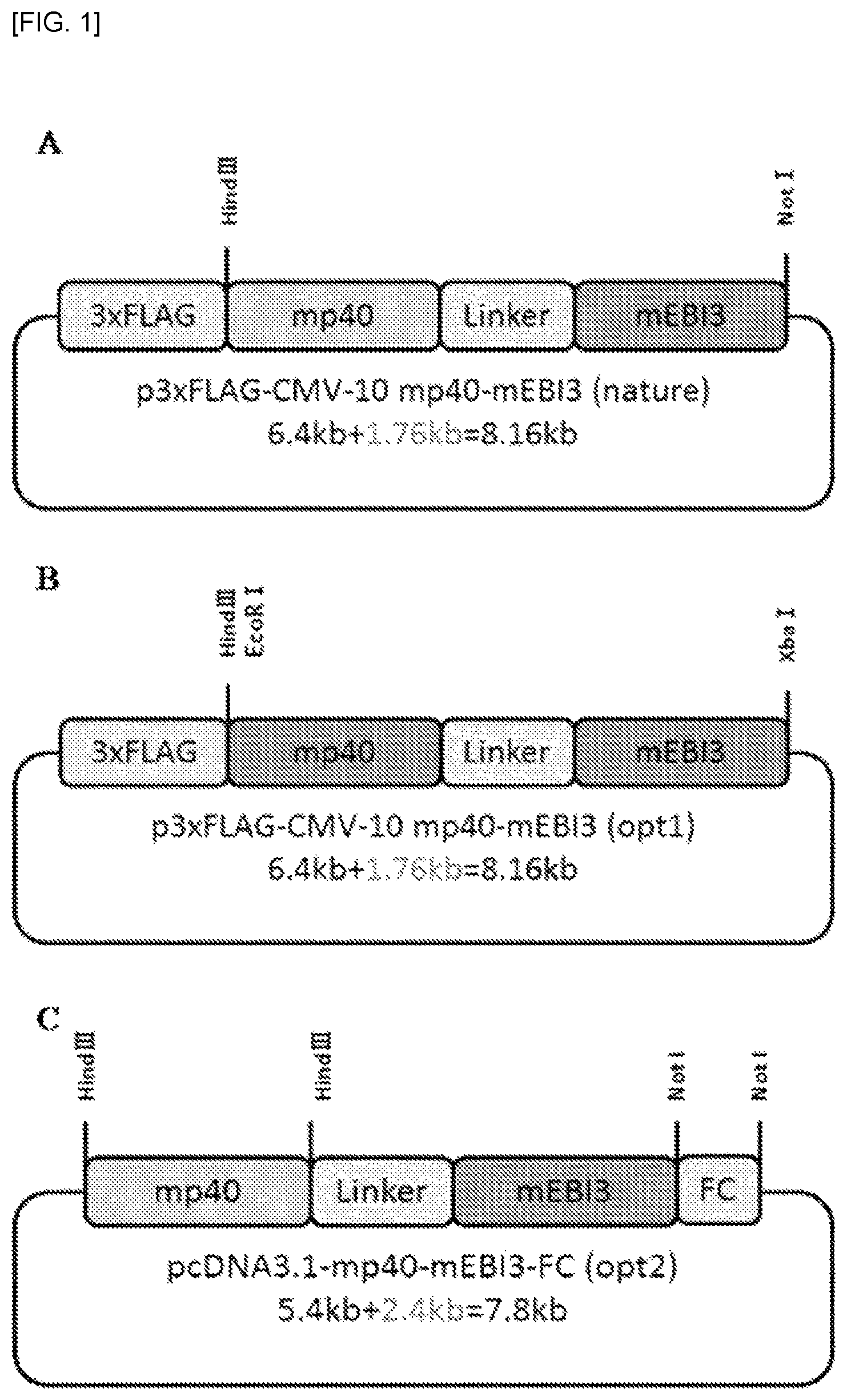 Patent US12492235 — Cytokines and use thereof — Figure 1