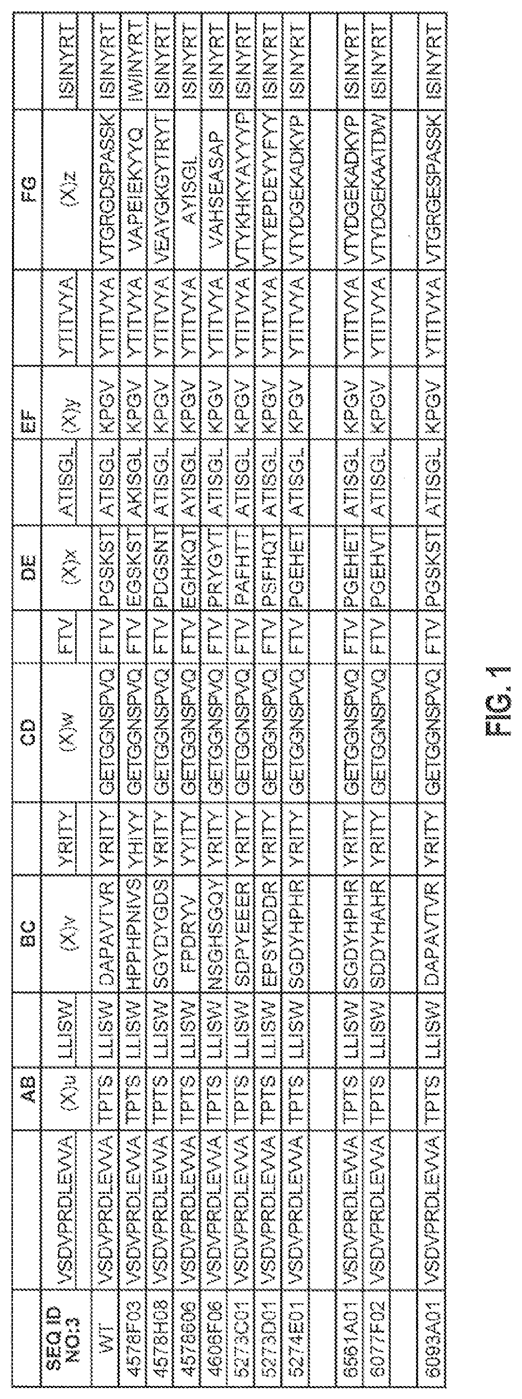 Patent US12492238 — Glypican-3-binding fibronectin based scaffold molecules — Figure 1