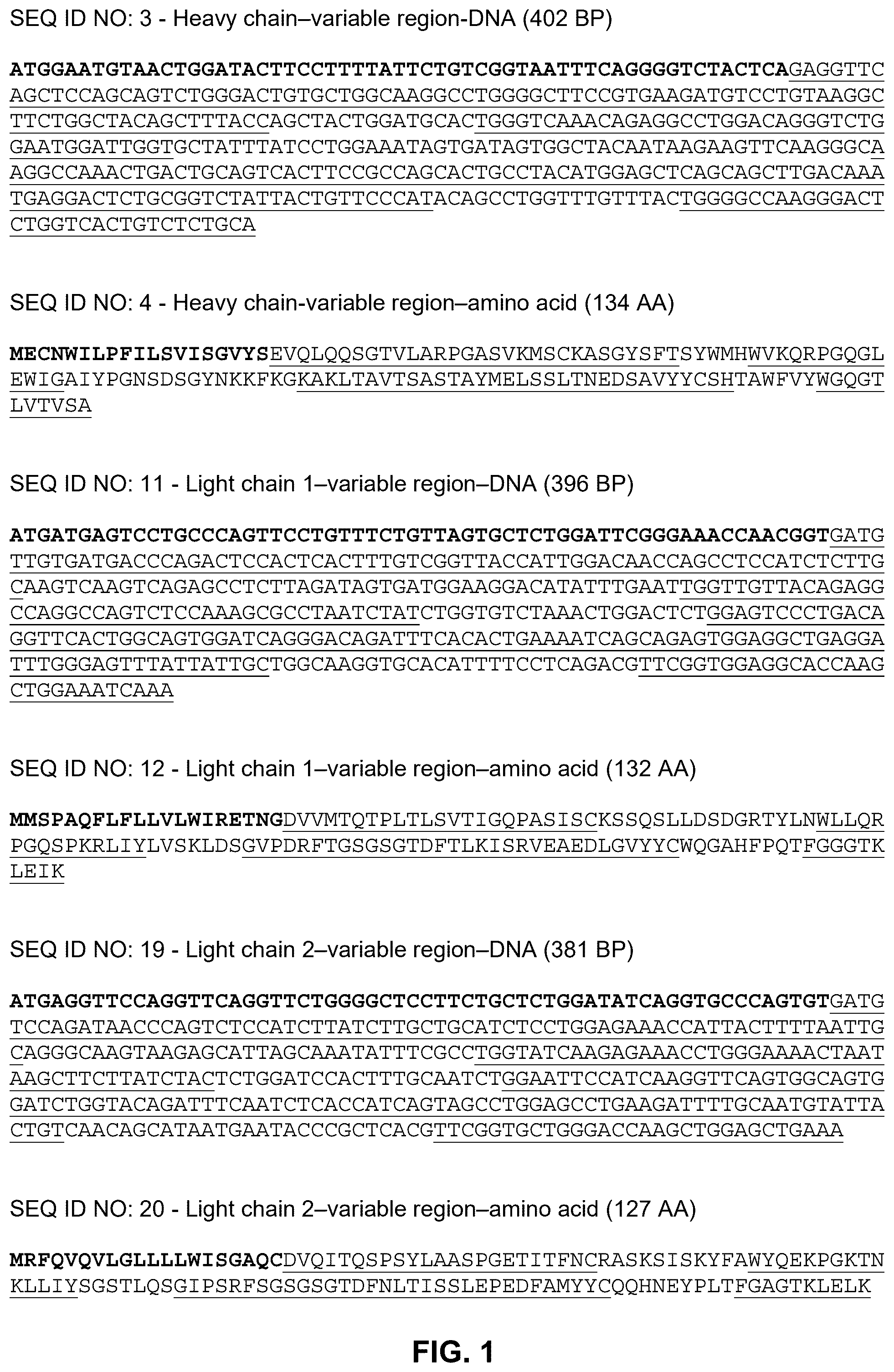 Patent US12492245 — Anti-CCL8 antibodies and treatment of lung injury by CCL8 inhibition — Figure 1