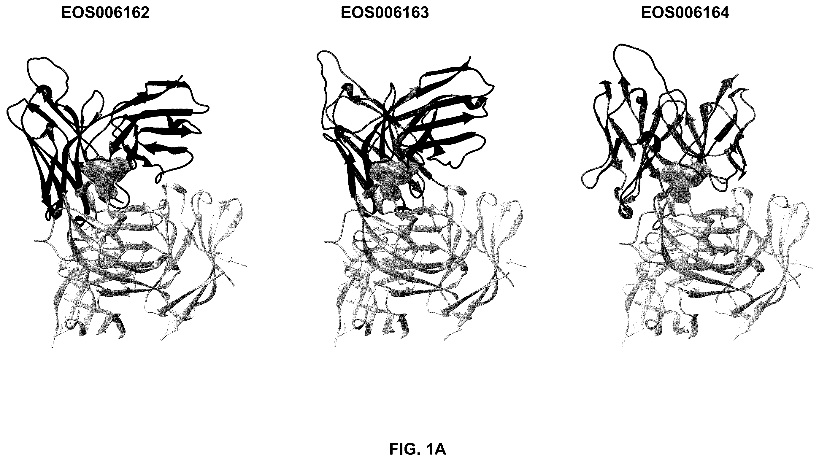 Patent US12492255 — Anti-TREM2 antibodies and methods of use — Figure 1