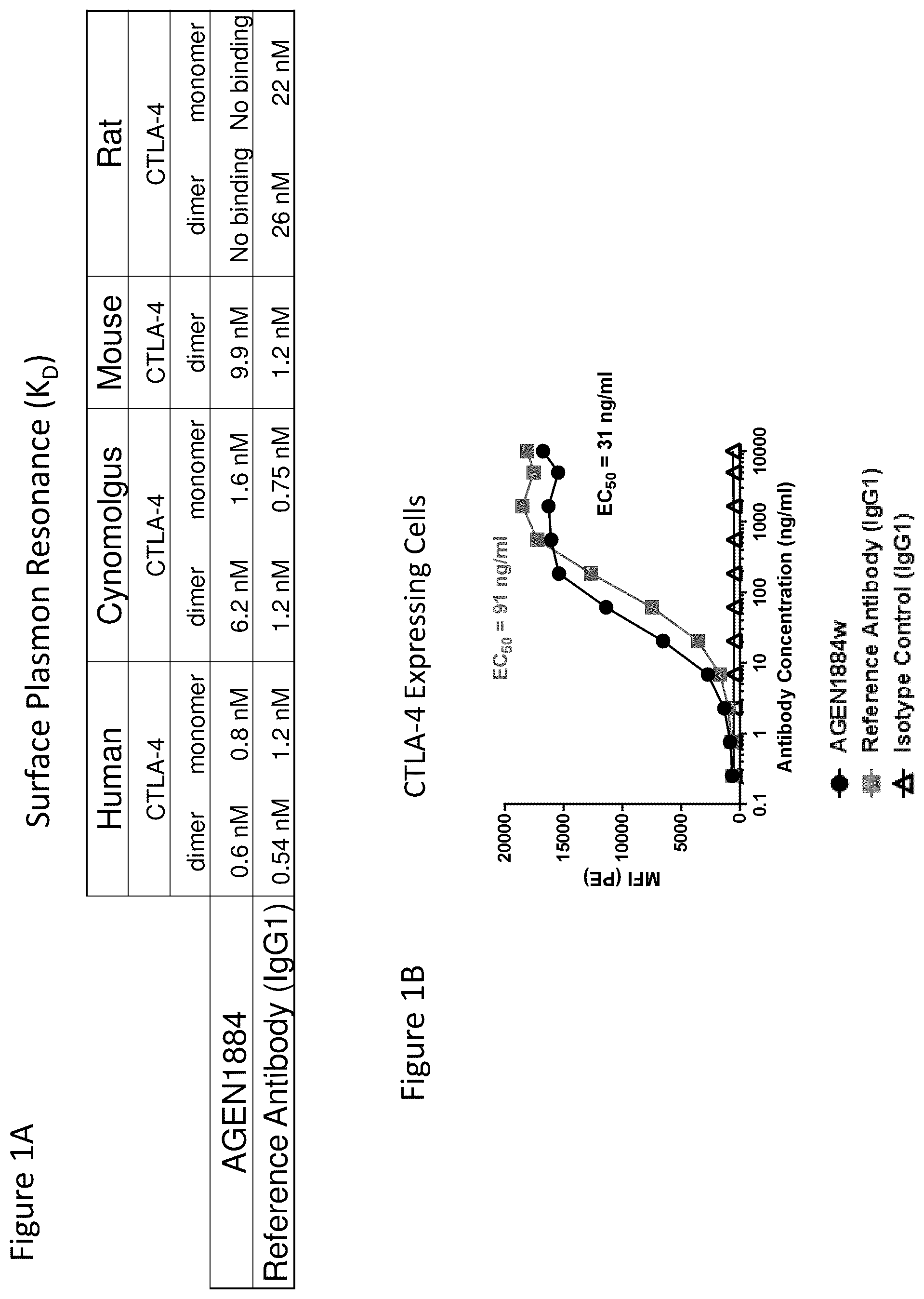 Patent US12492257 Figure 1 – Anti-CTLA-4 antibodies and methods of use thereof